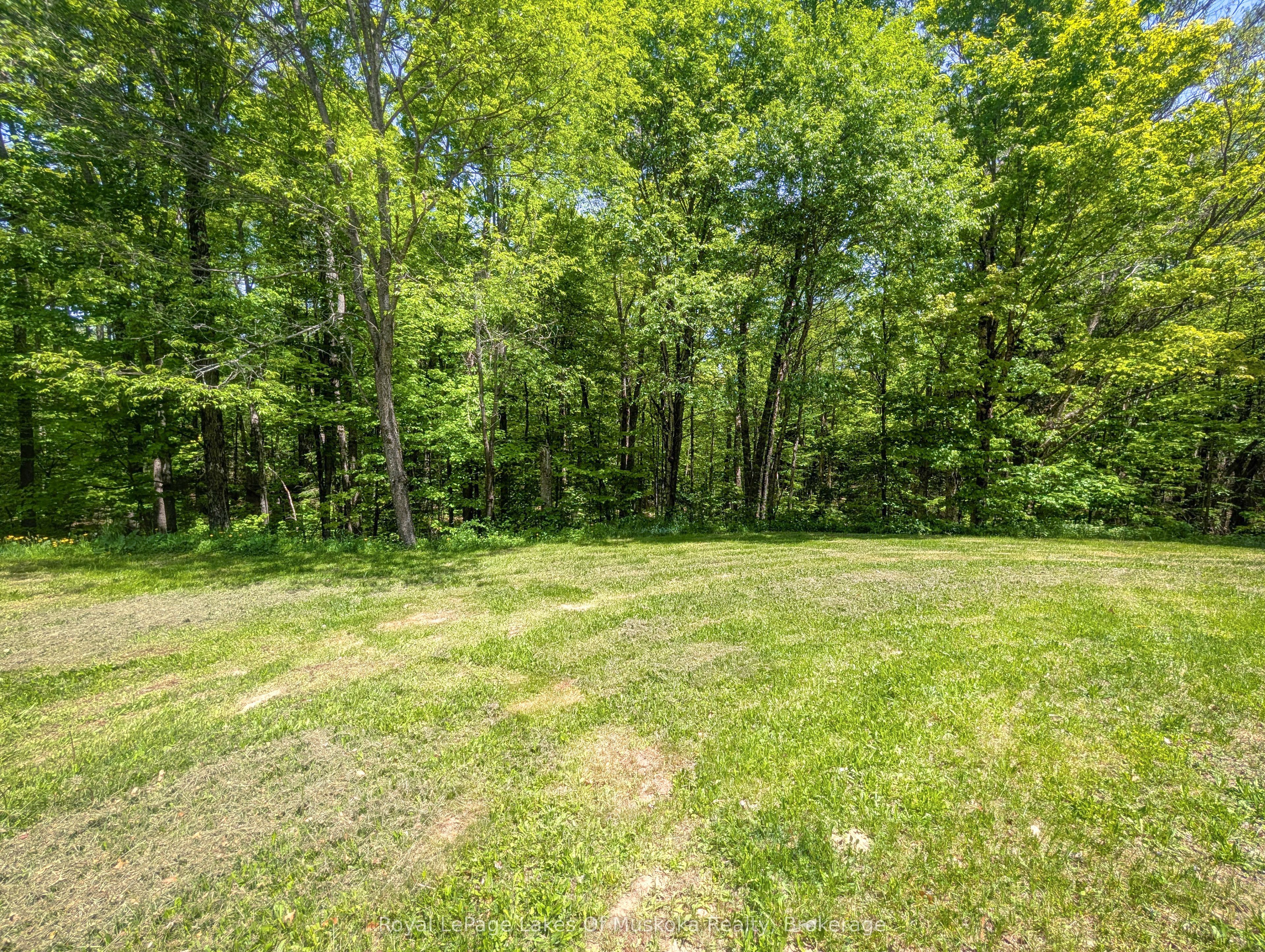 Listing 80899 Image