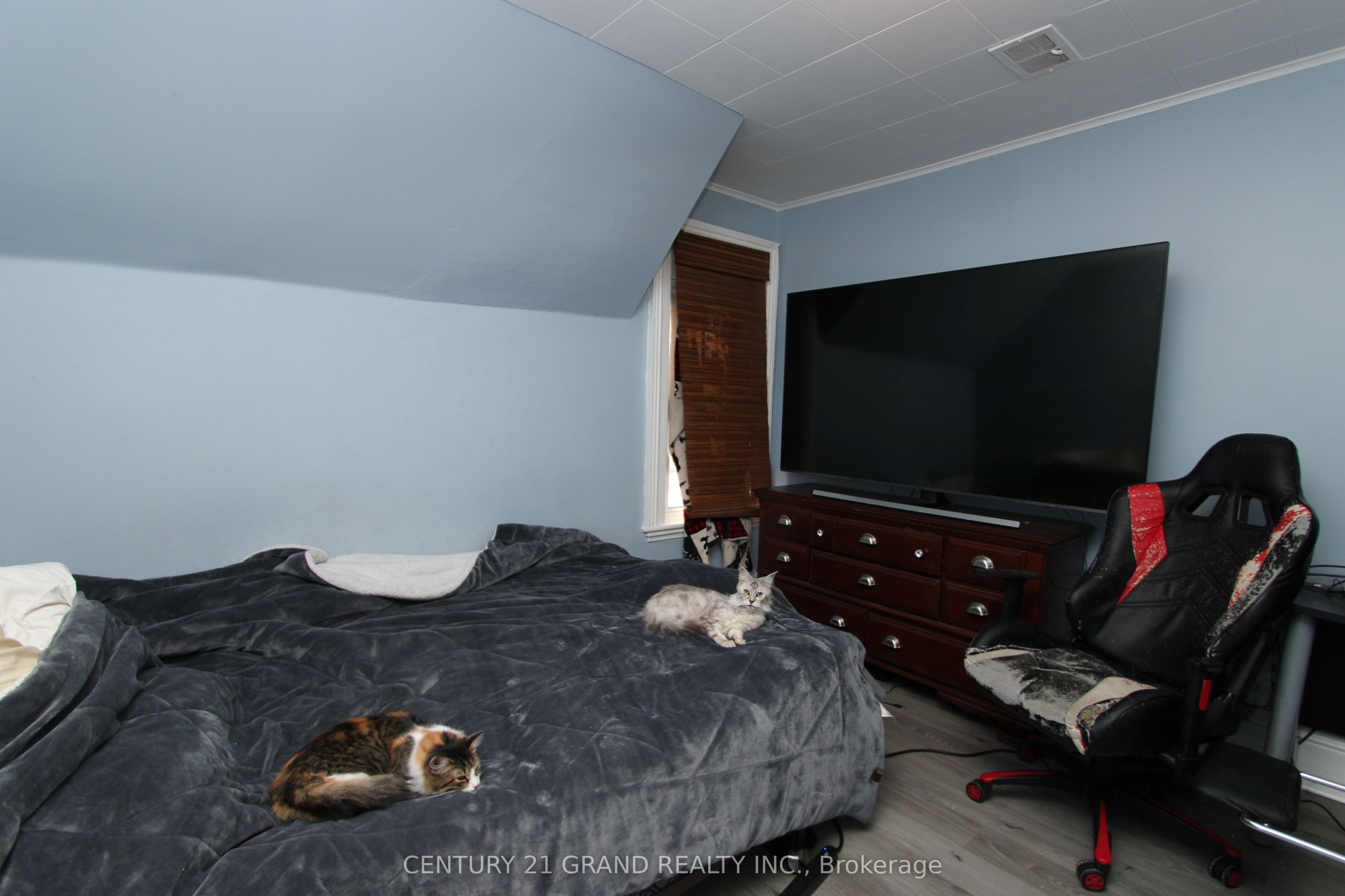 Listing 81747 Image