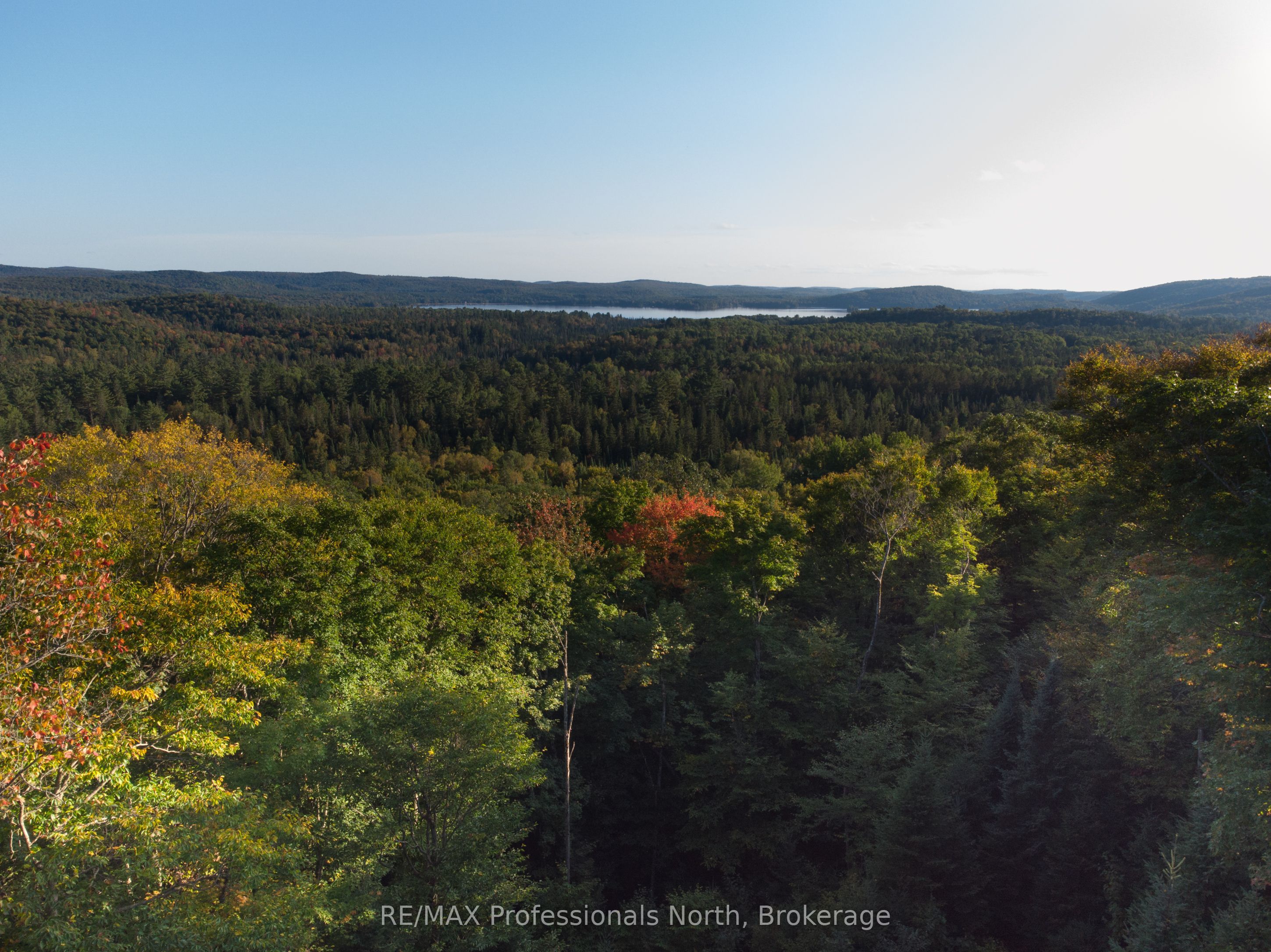 Listing 196619 Image