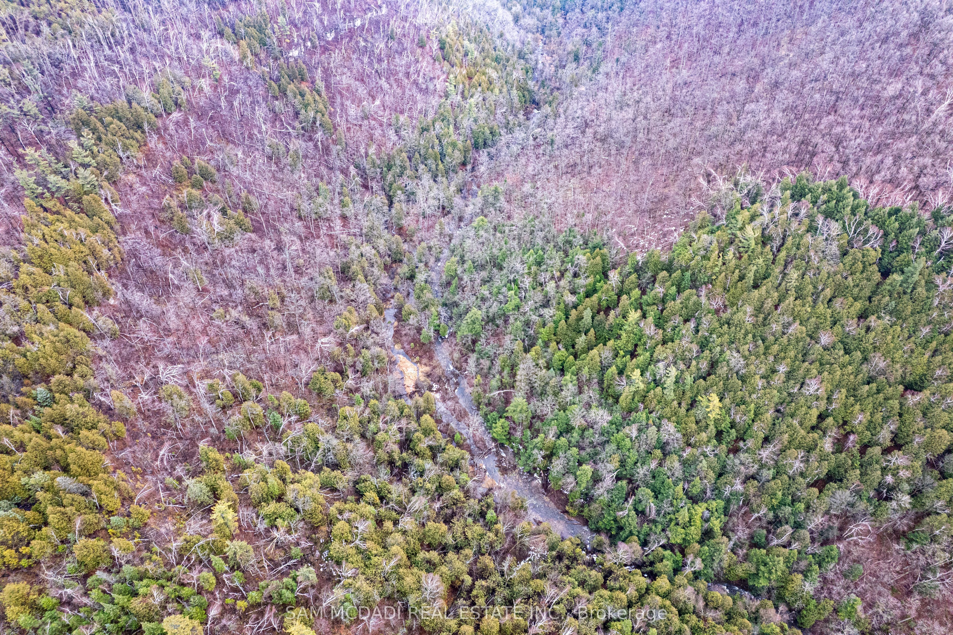 Listing 148994 Image