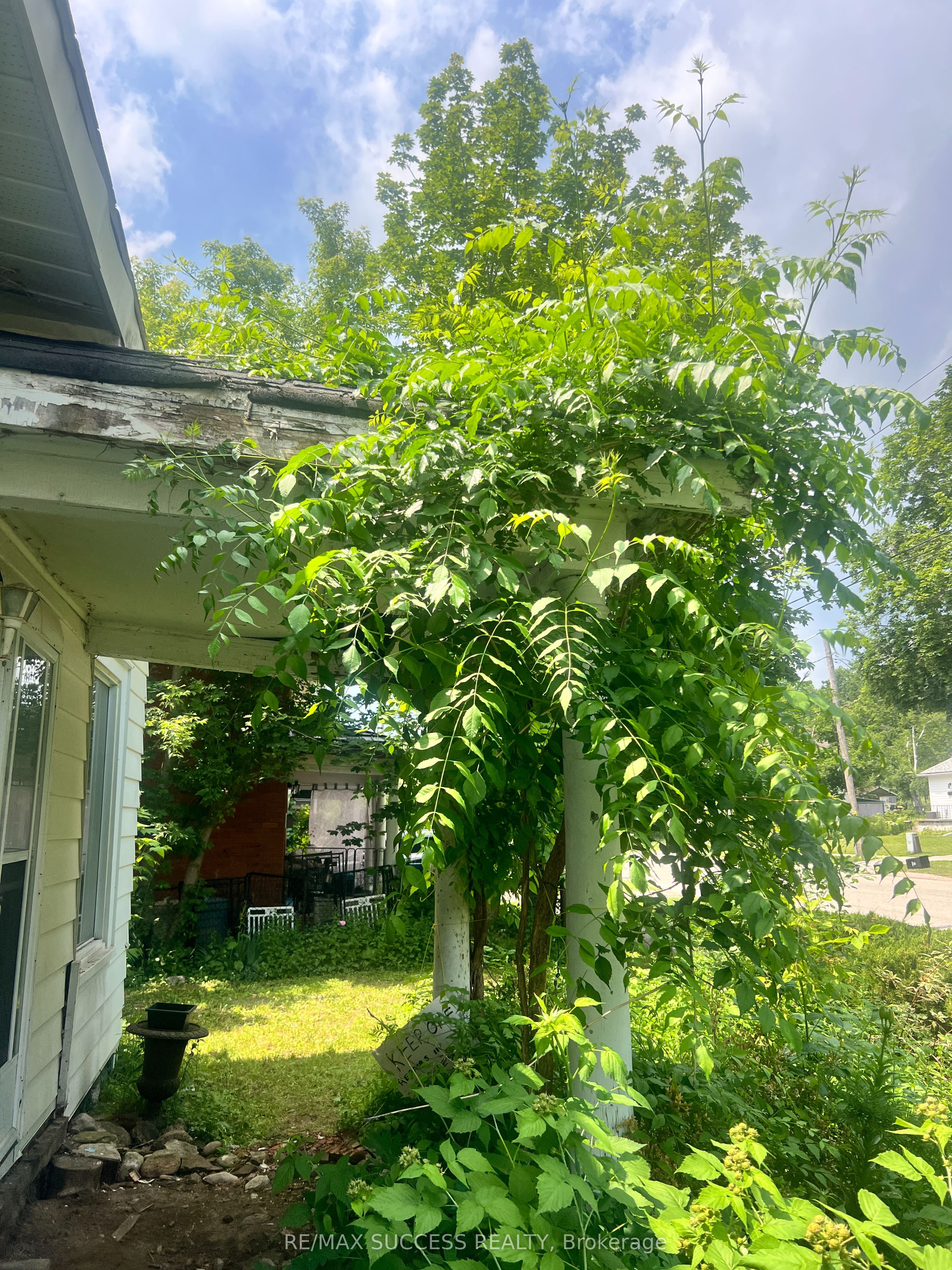 Listing 163109 Image