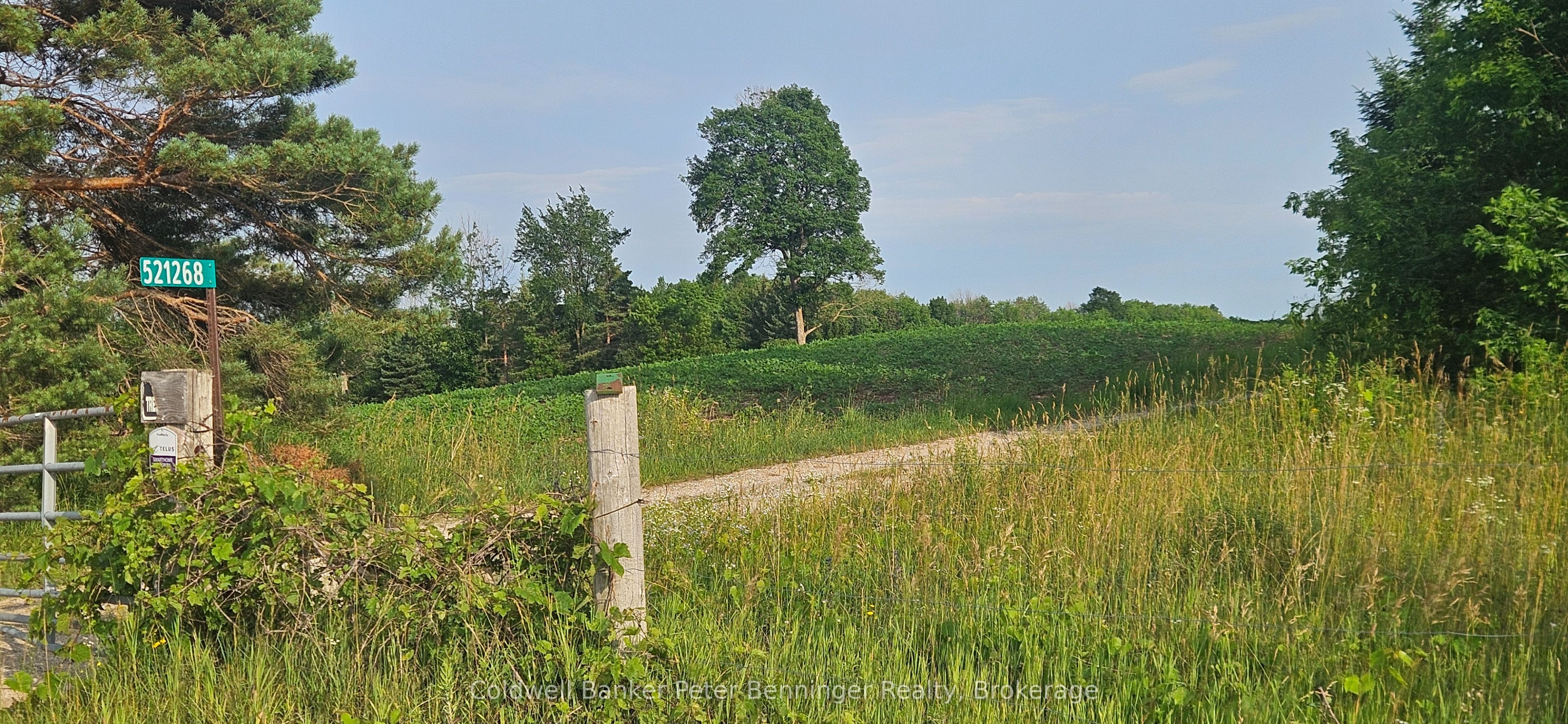 Listing 169911 Image