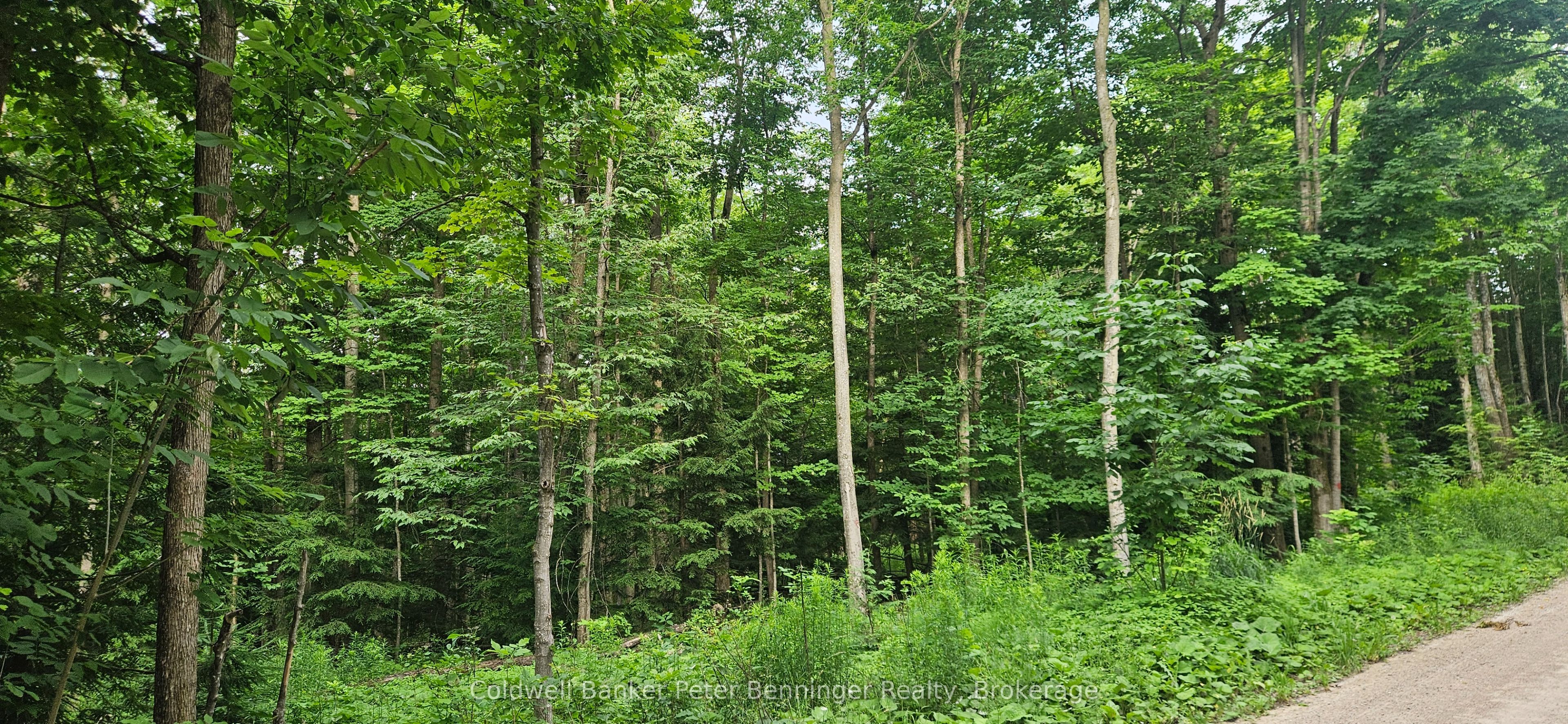Listing 169917 Image