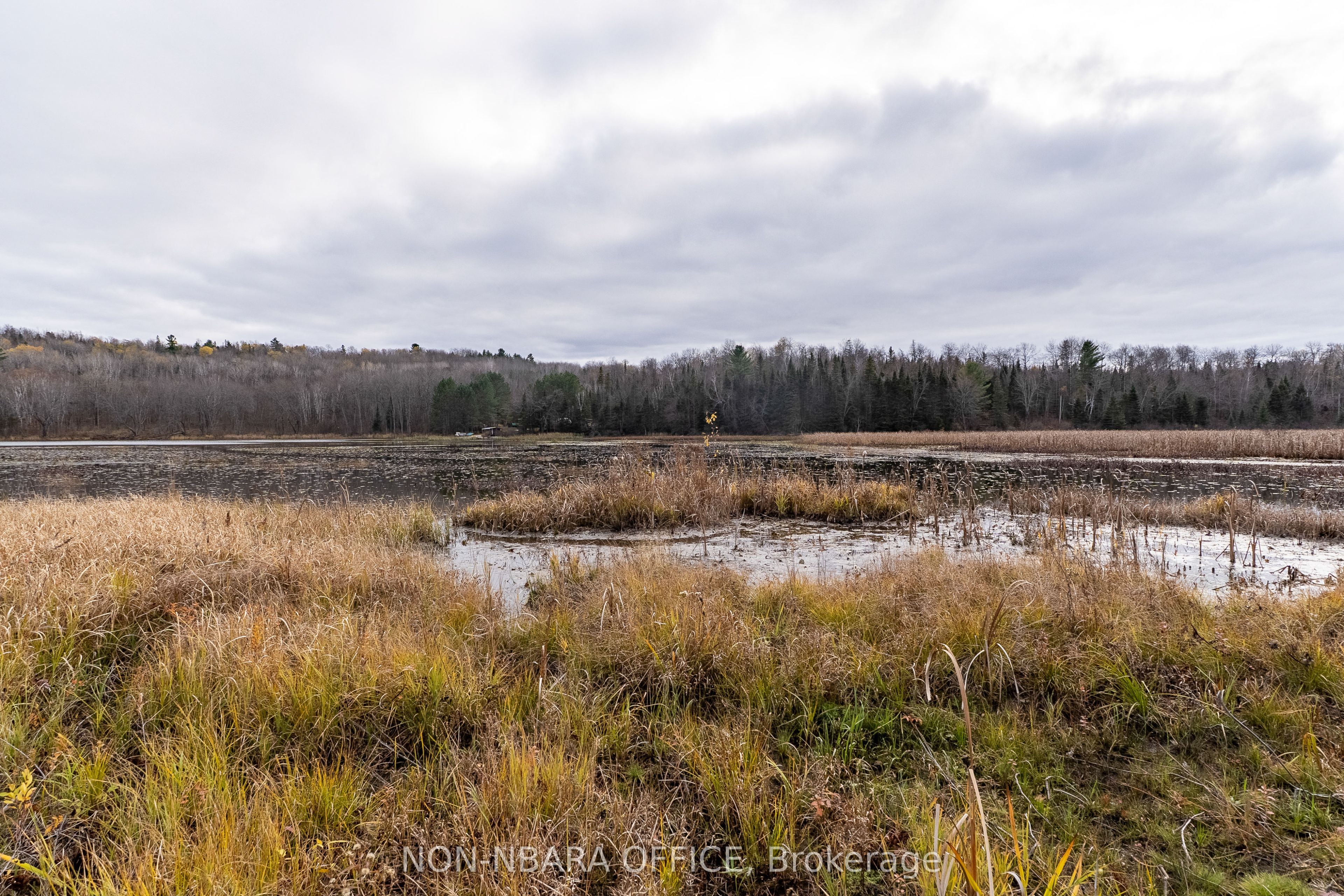 Listing 177898 Image