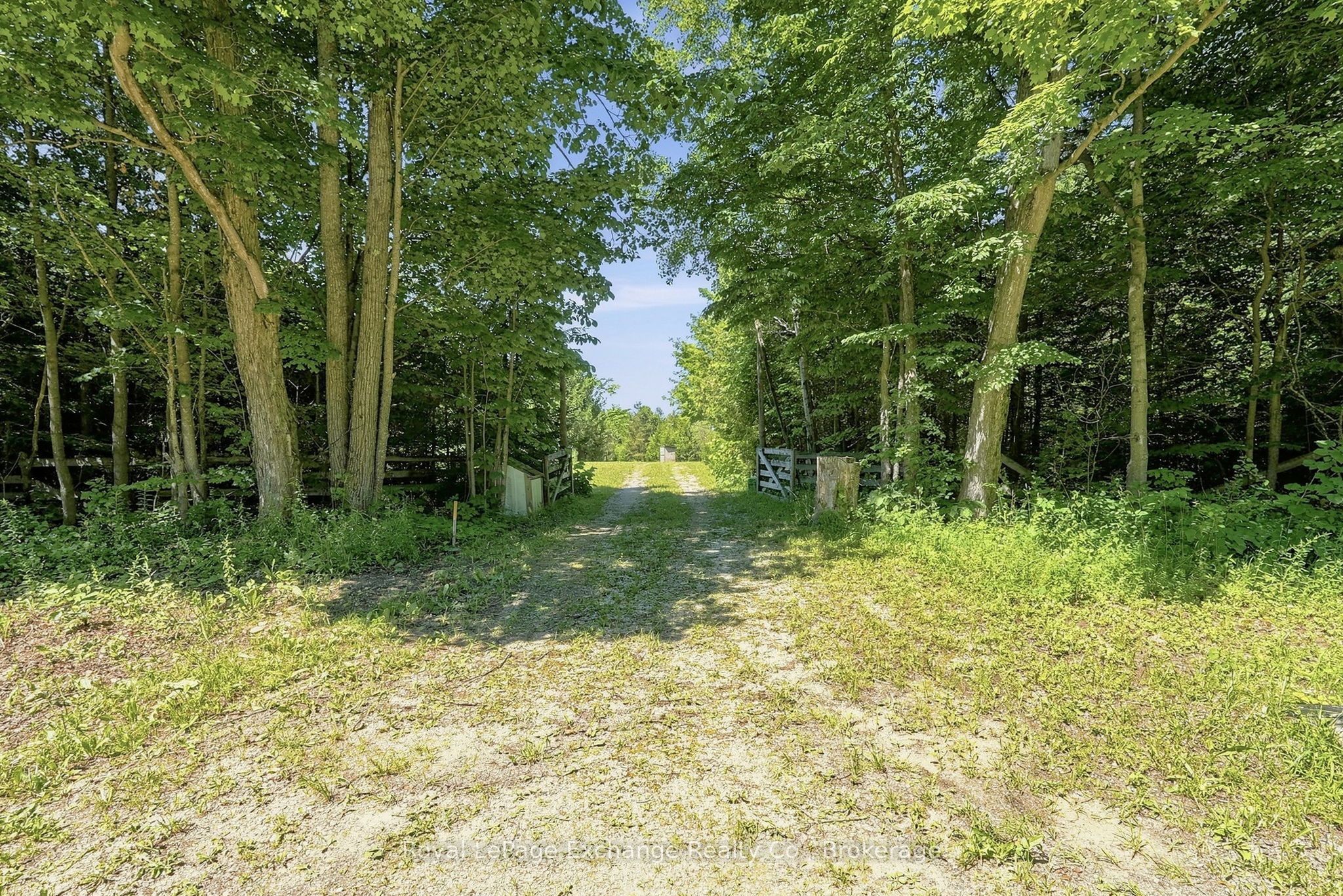 Listing 269572 Image
