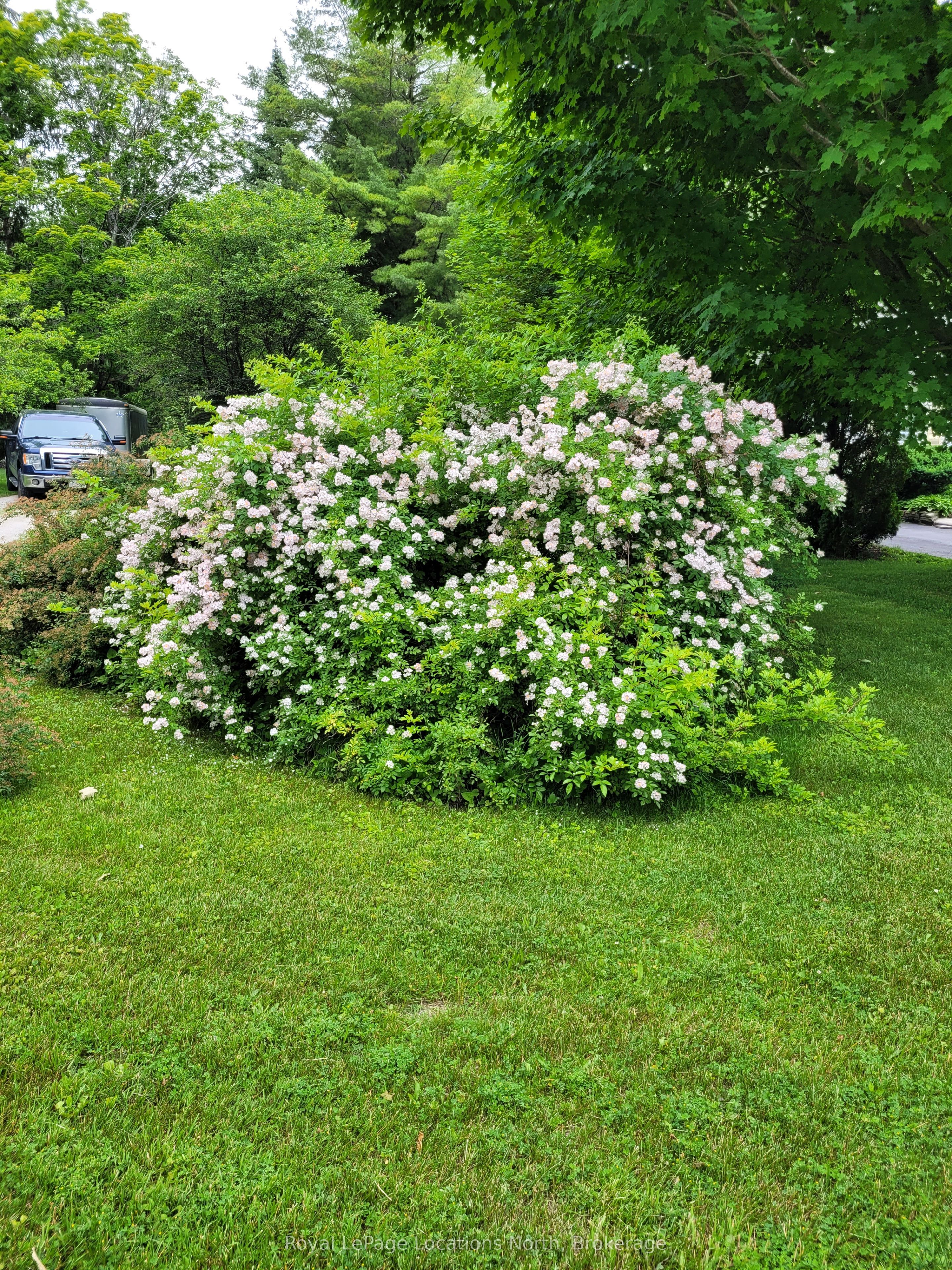 Listing 190675 Image