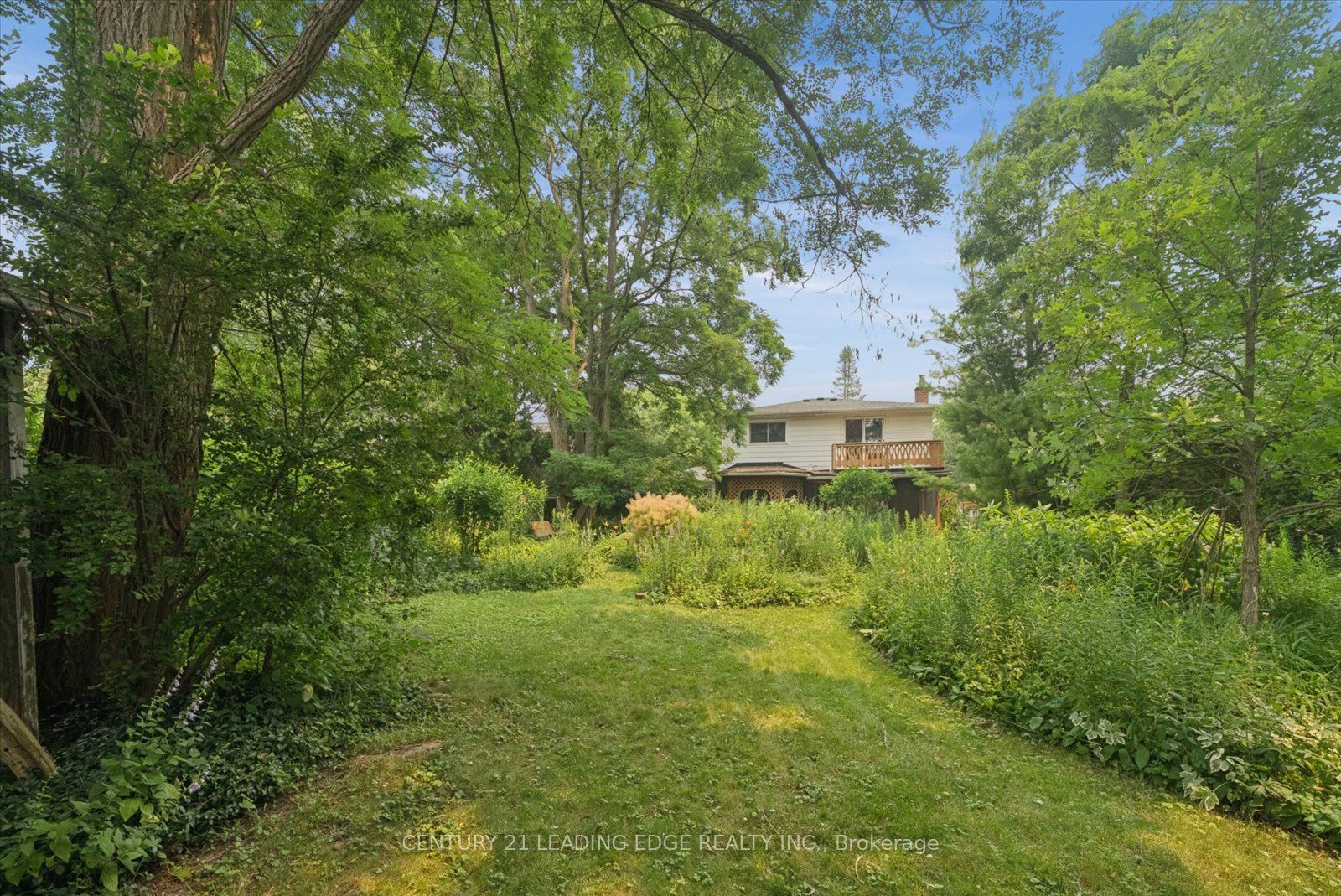 Listing 199926 Image