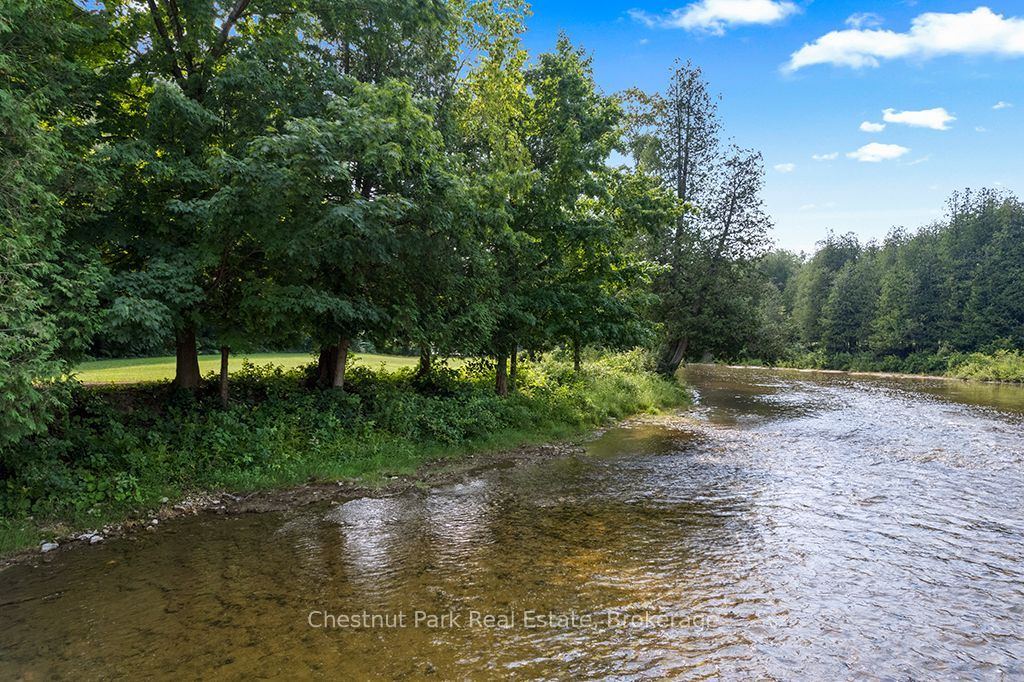Listing 201477 Image