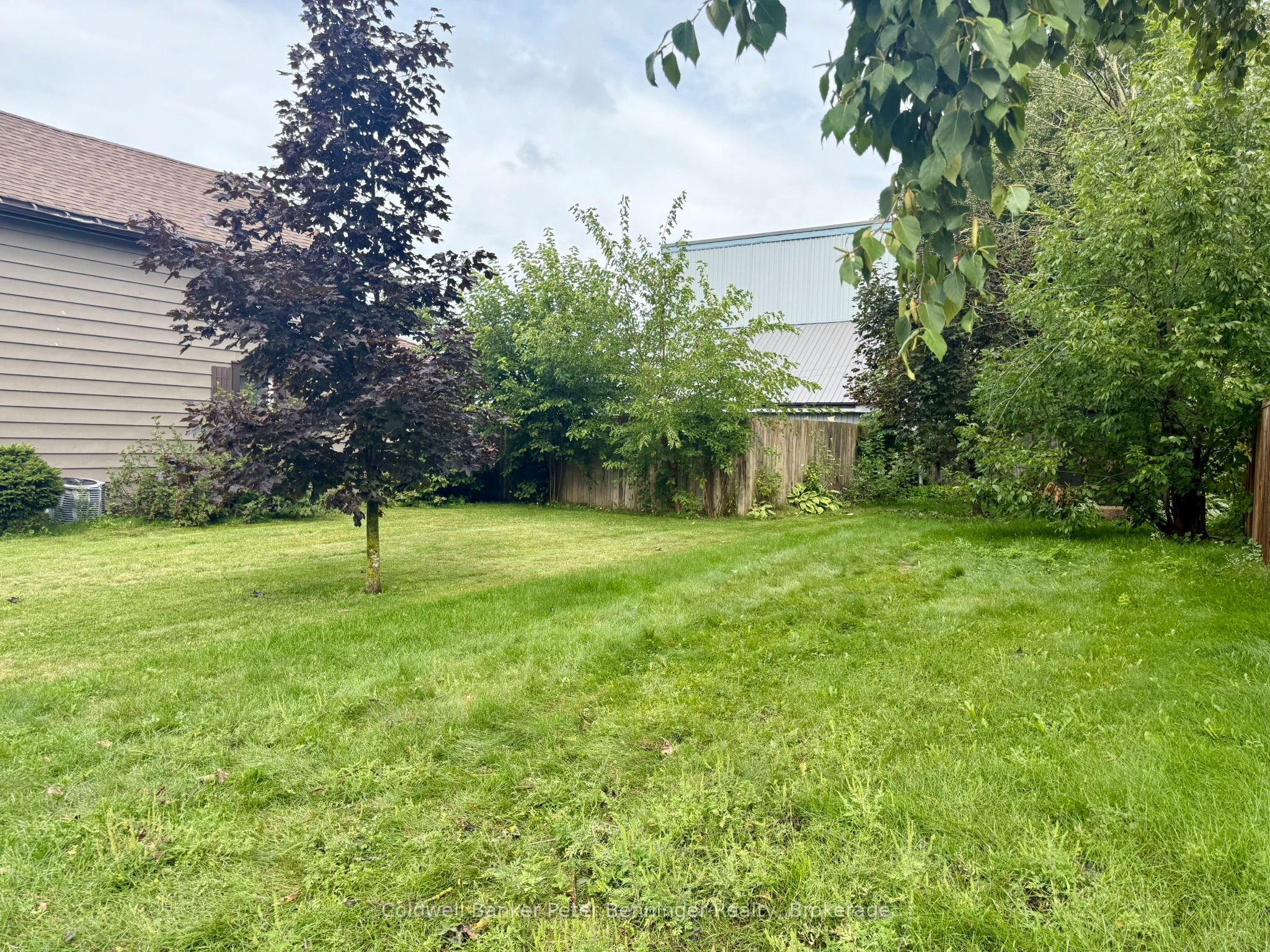 Listing 208829 Image
