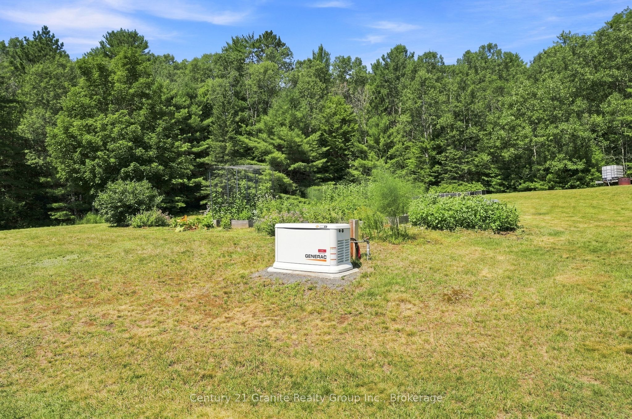 Listing 234257 Image