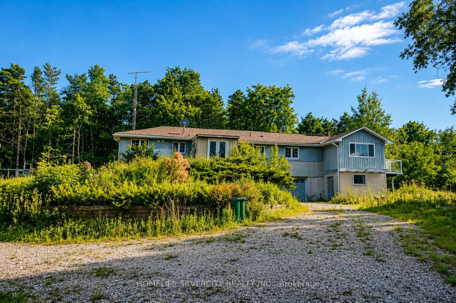 Listing 235455 Image