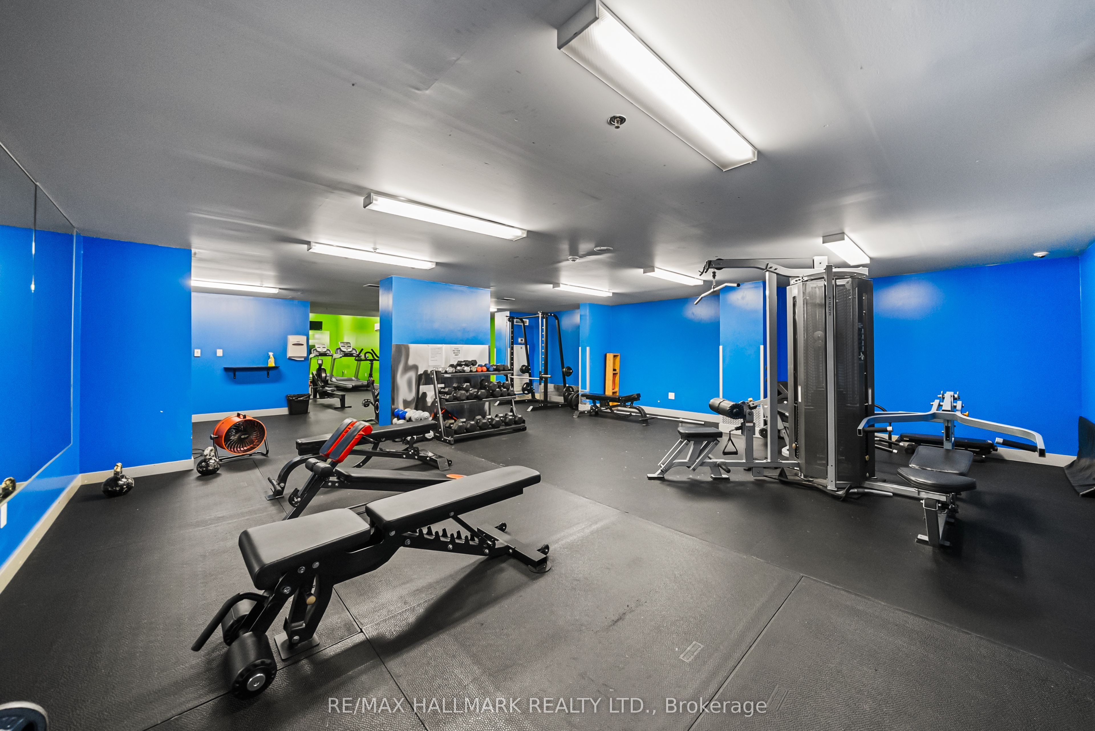 Listing 244366 Image