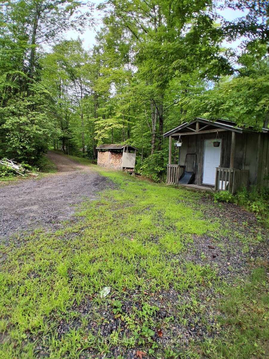 Listing 237307 Image