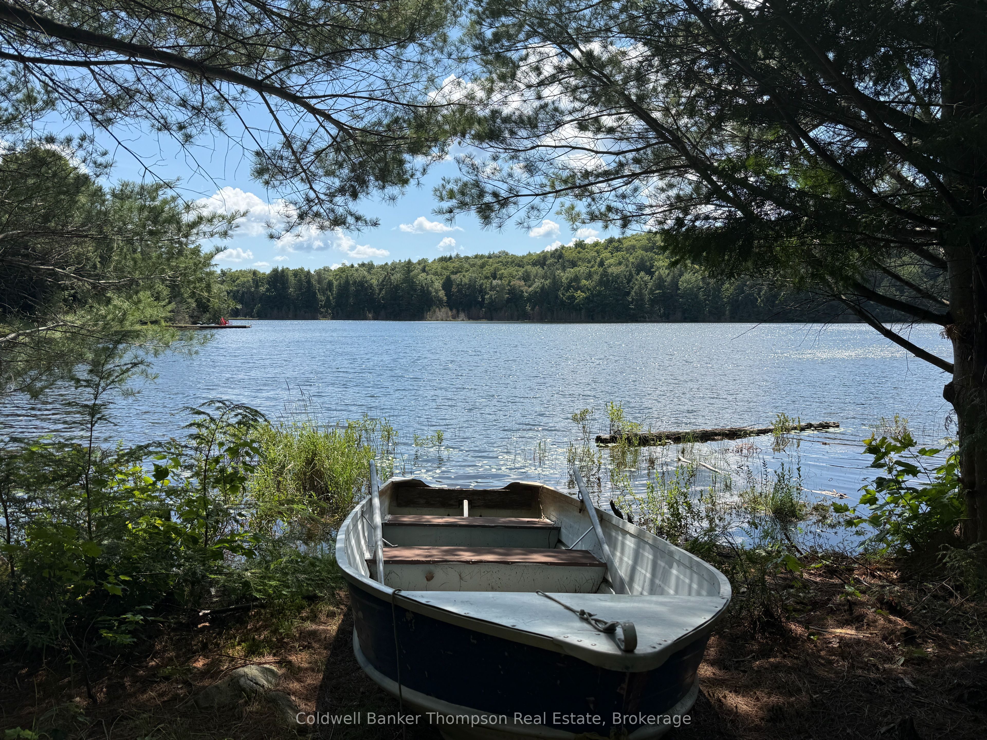 Listing 274511 Image