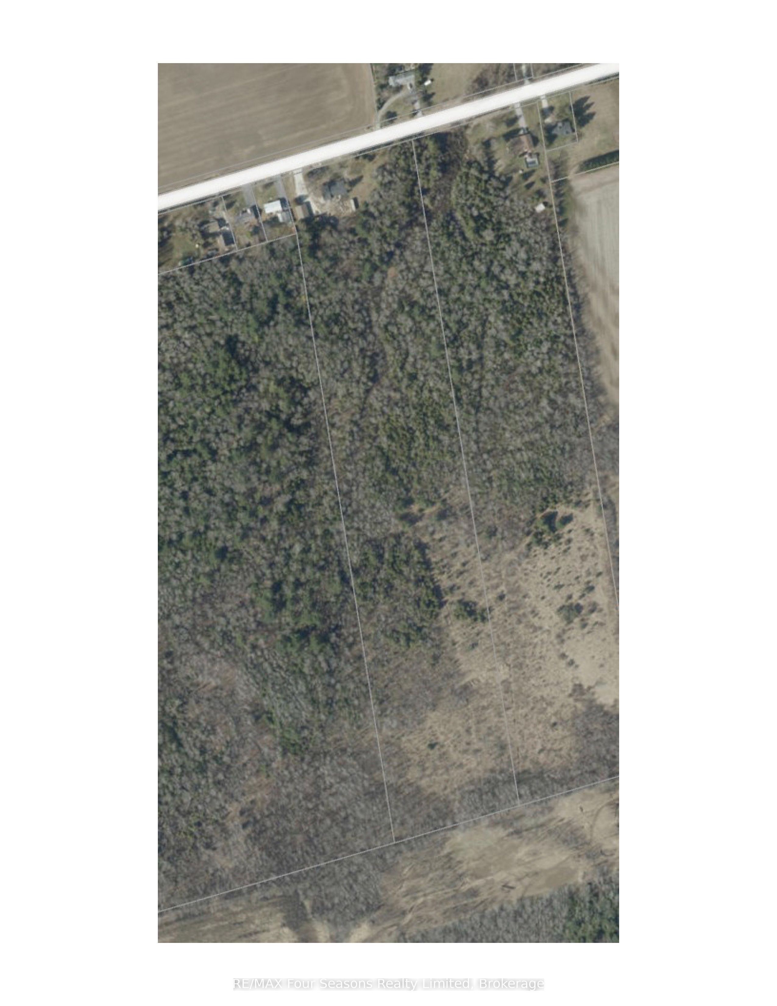 Listing 257481 Image