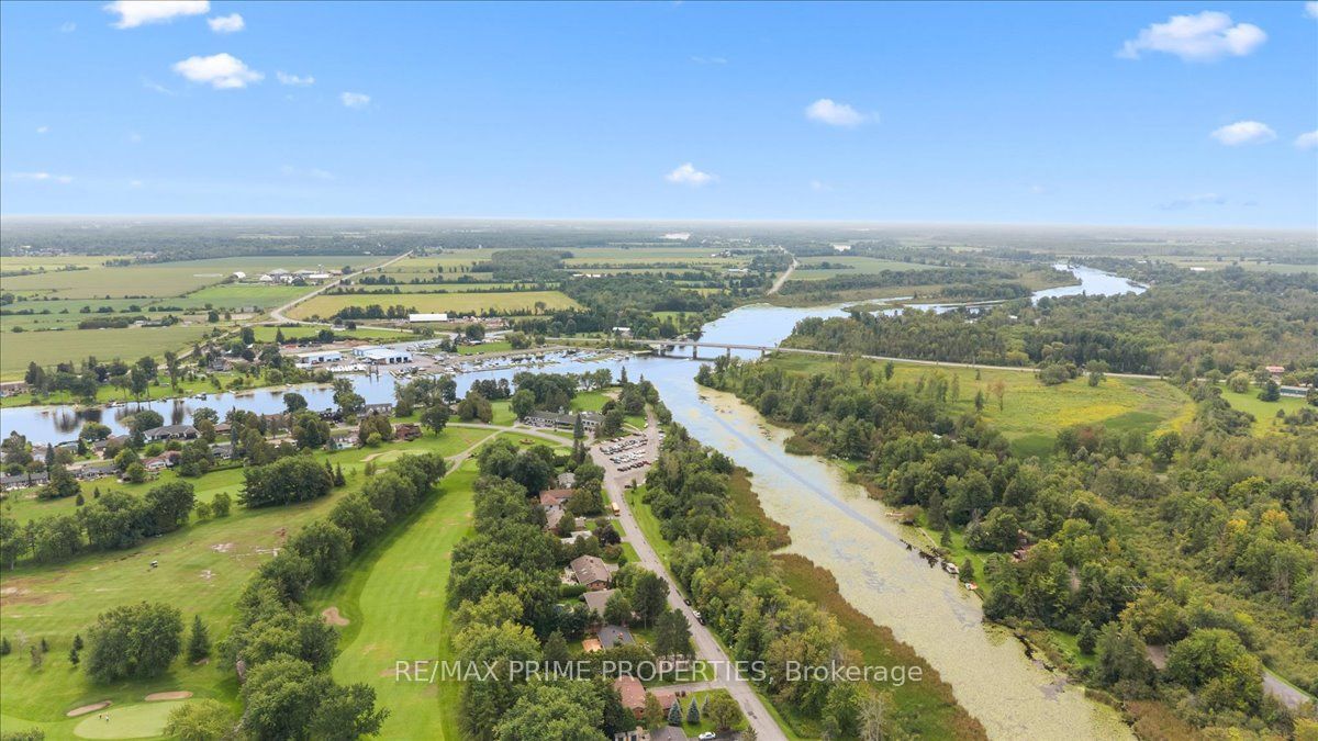 Listing 266364 Image