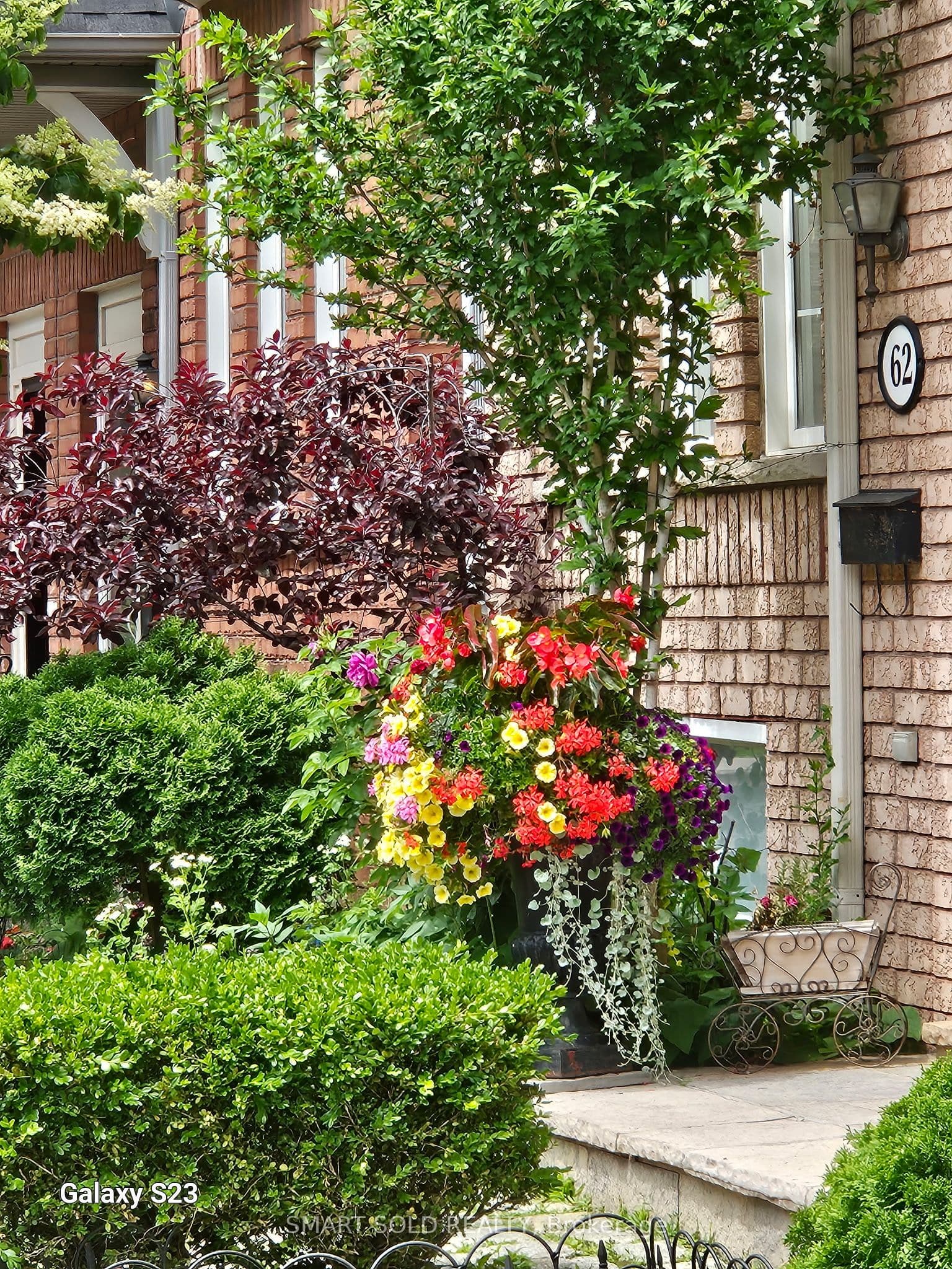 Listing 318150 Image