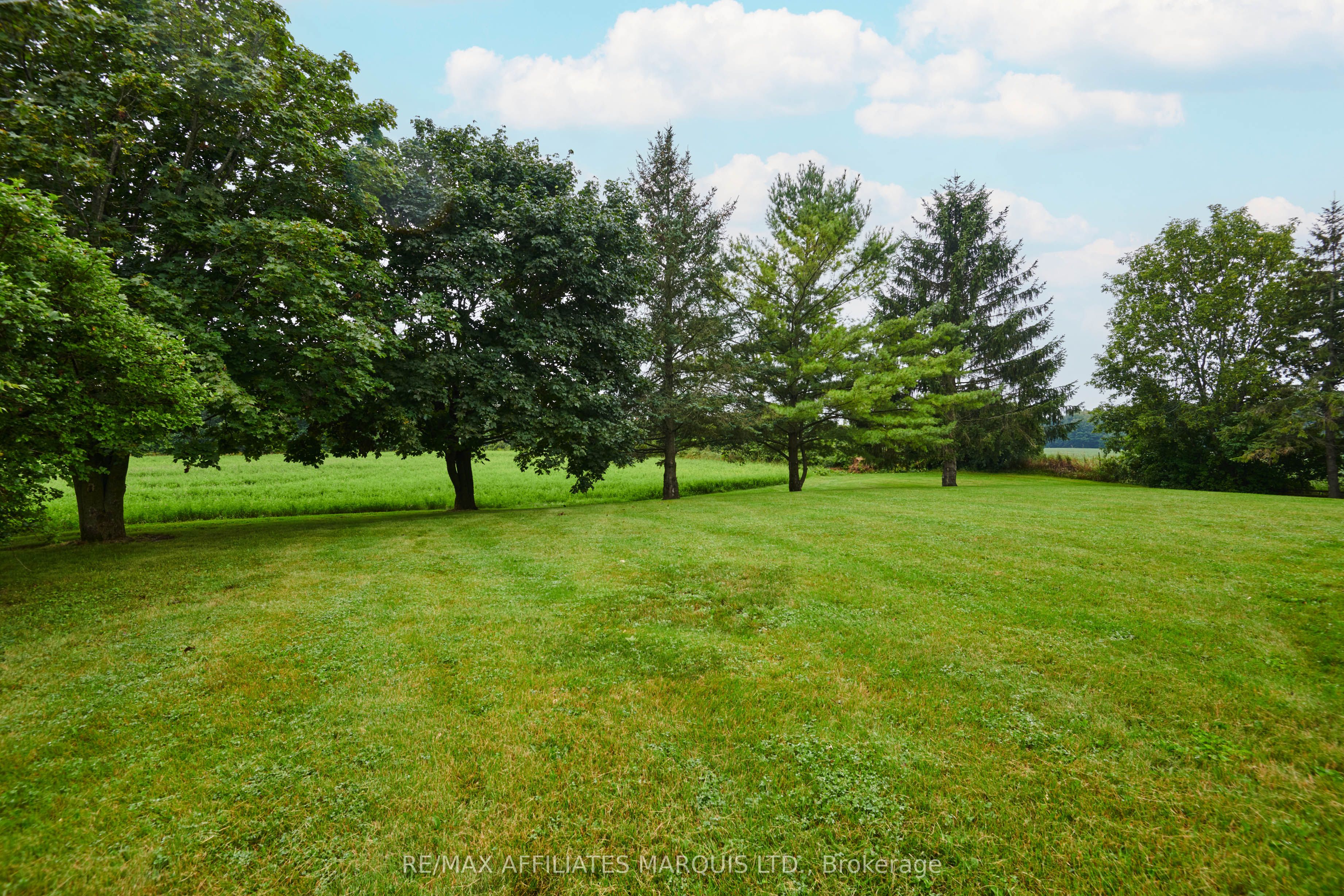 Listing 271135 Image
