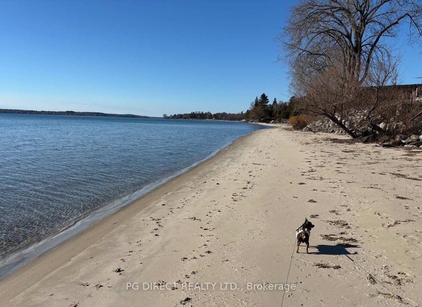 Listing 273427 Image