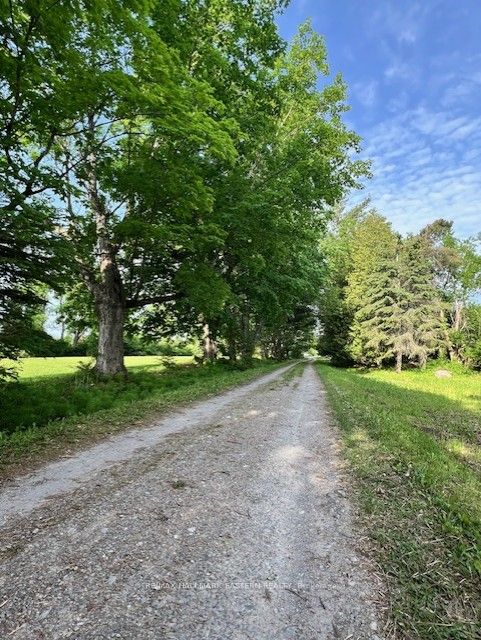 Listing 274294 Image