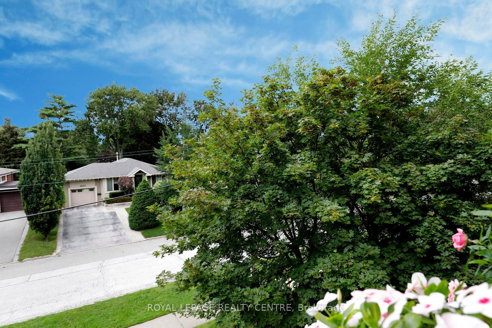 Listing 274343 Image