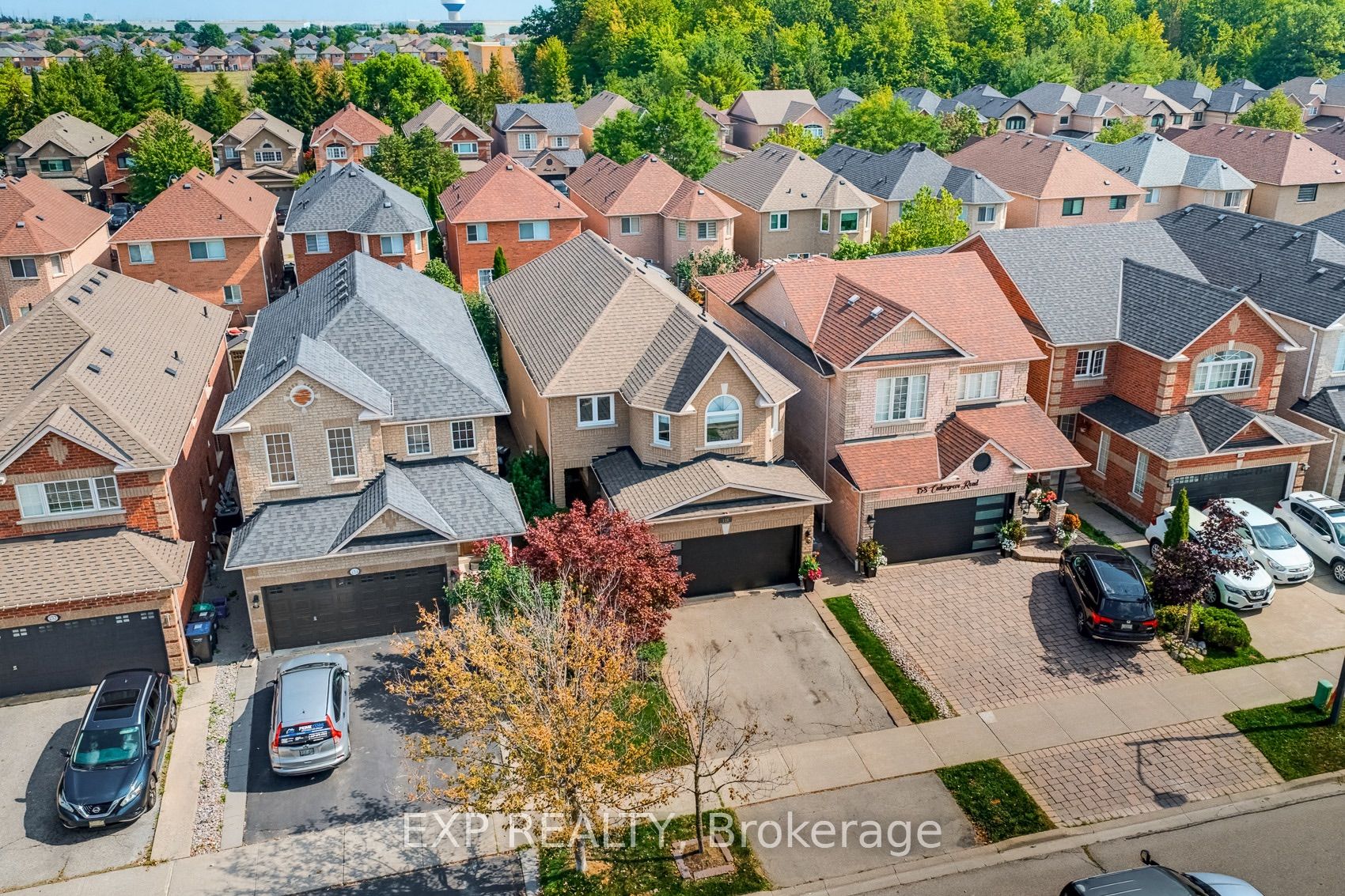 Listing 274453 Image