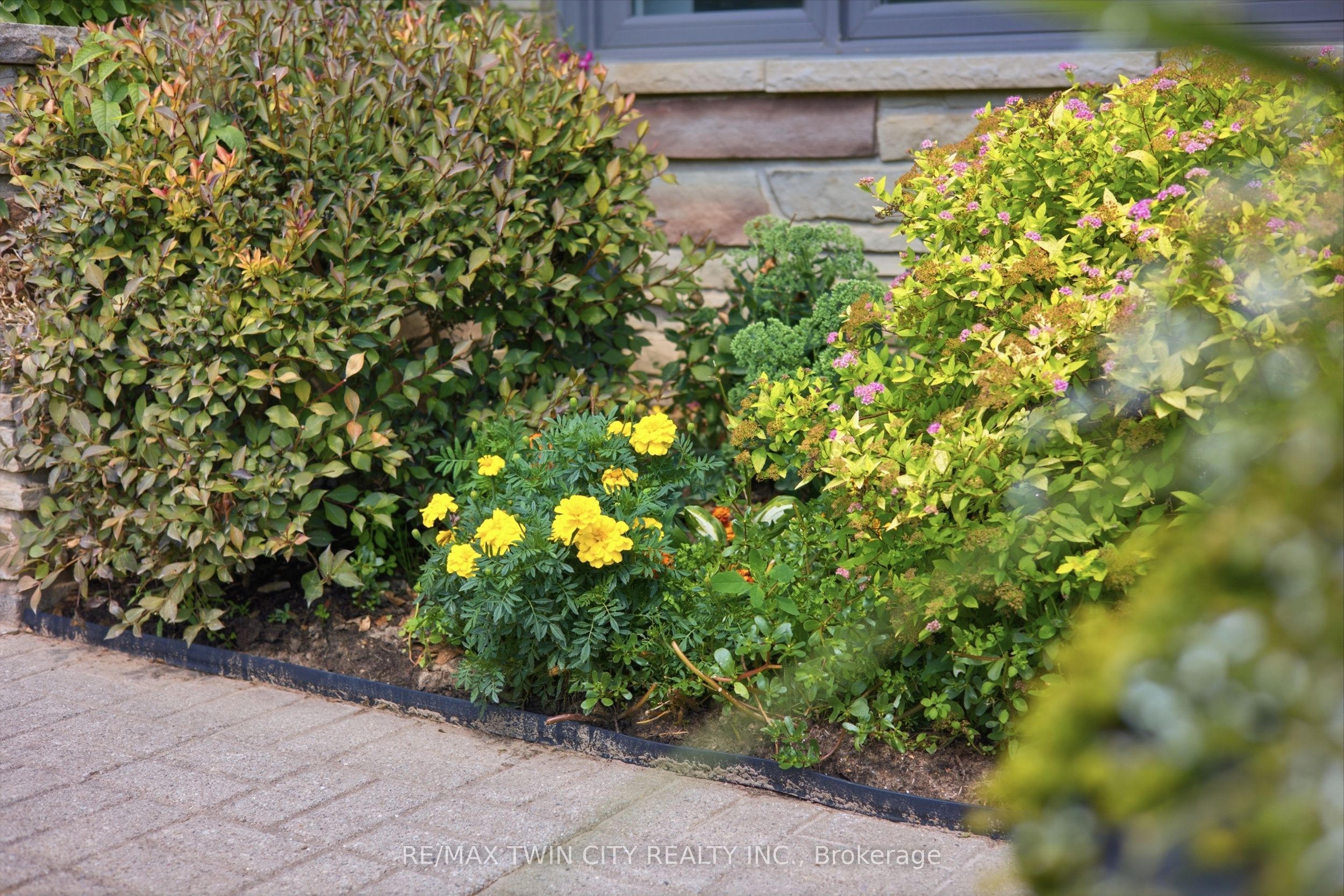 Listing 276098 Image