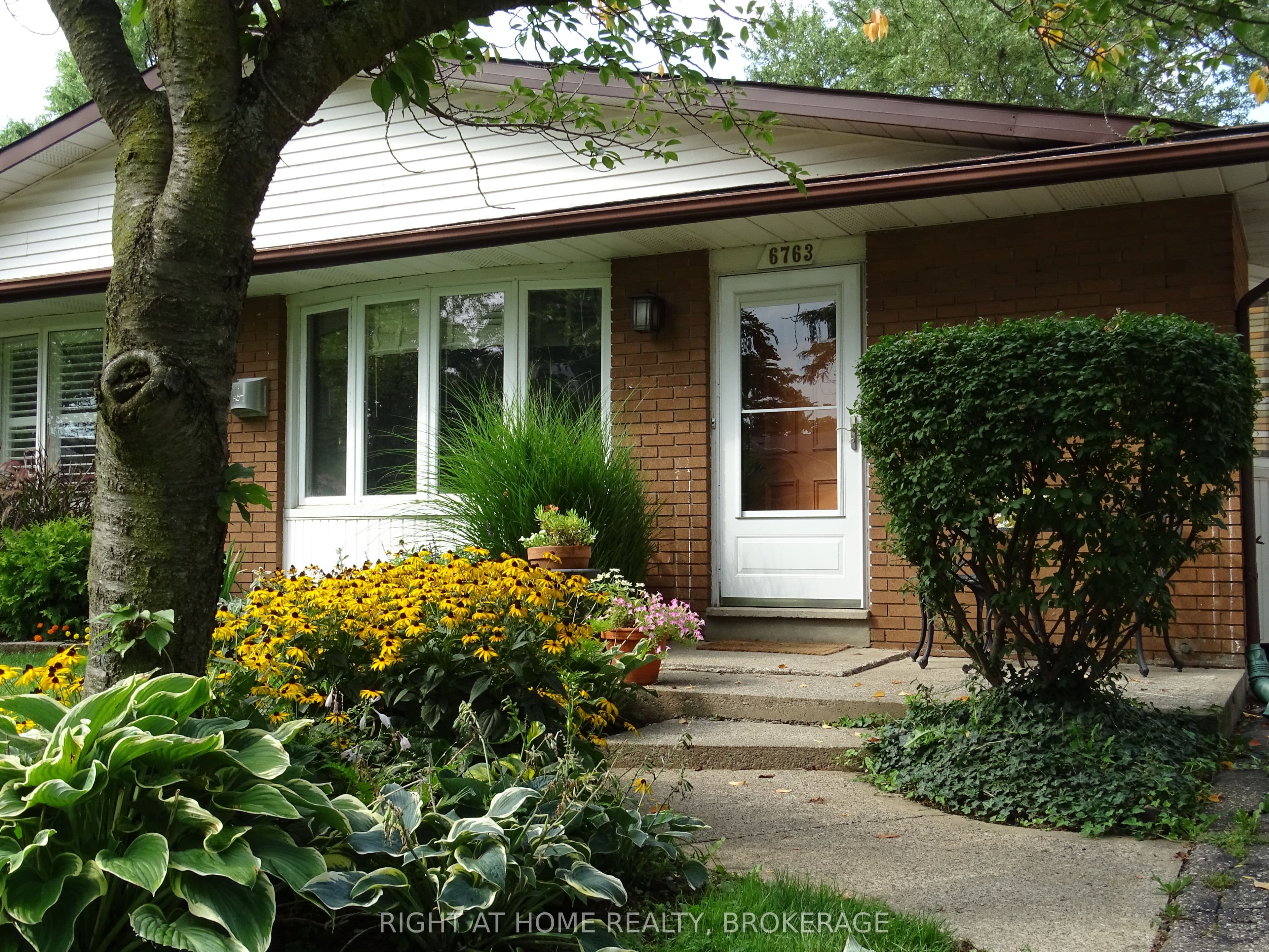 Listing 284948 Image
