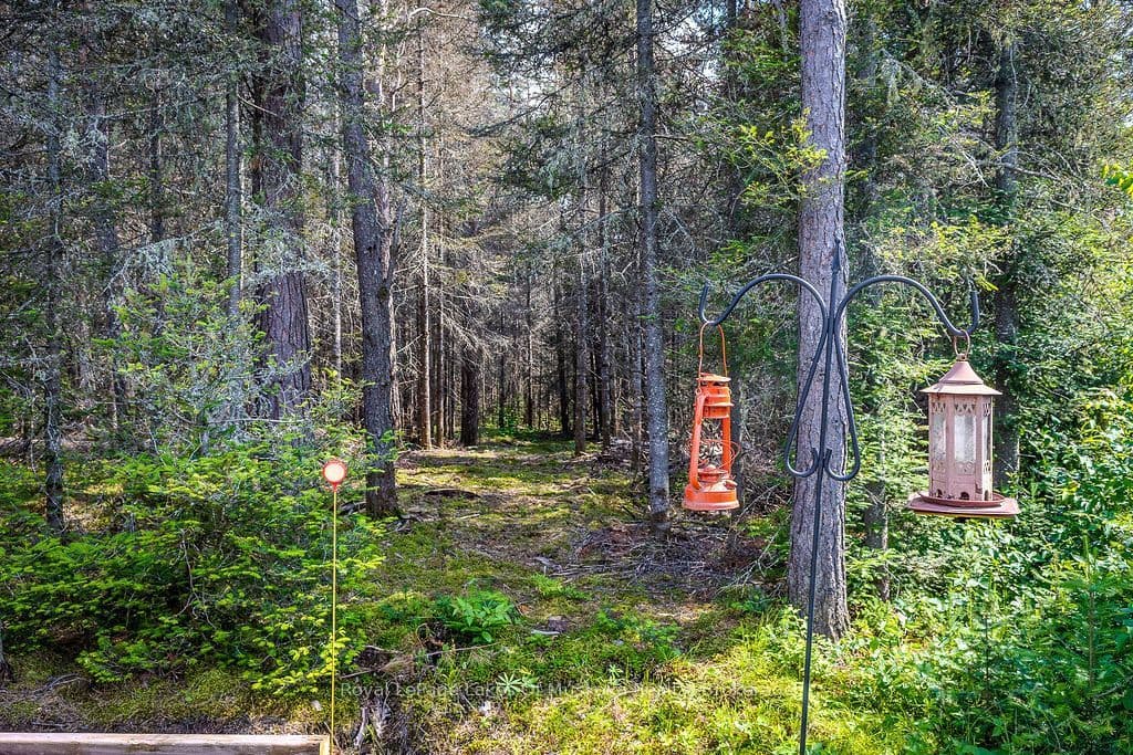 Listing 284982 Image