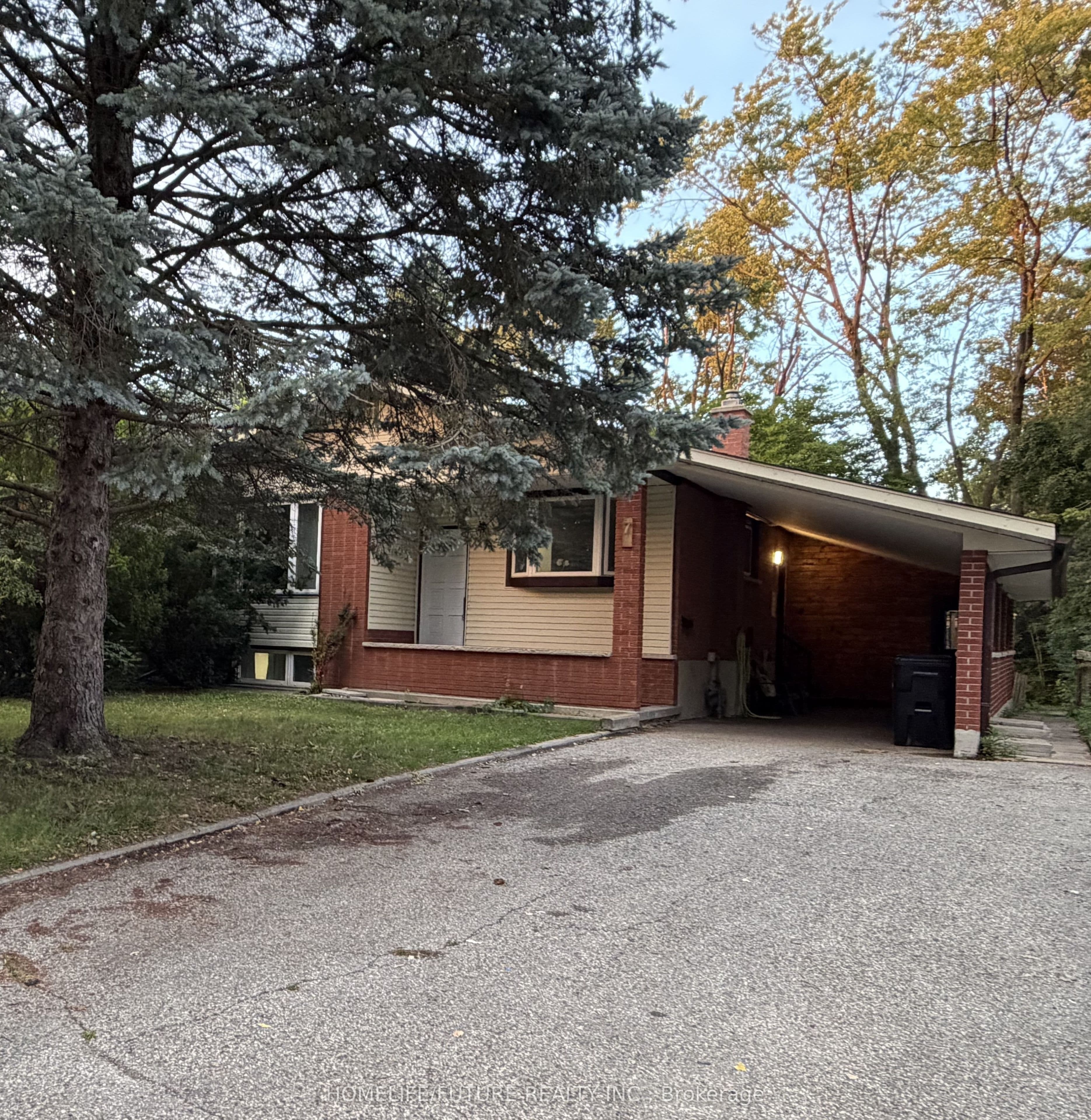 Listing 283951 Image