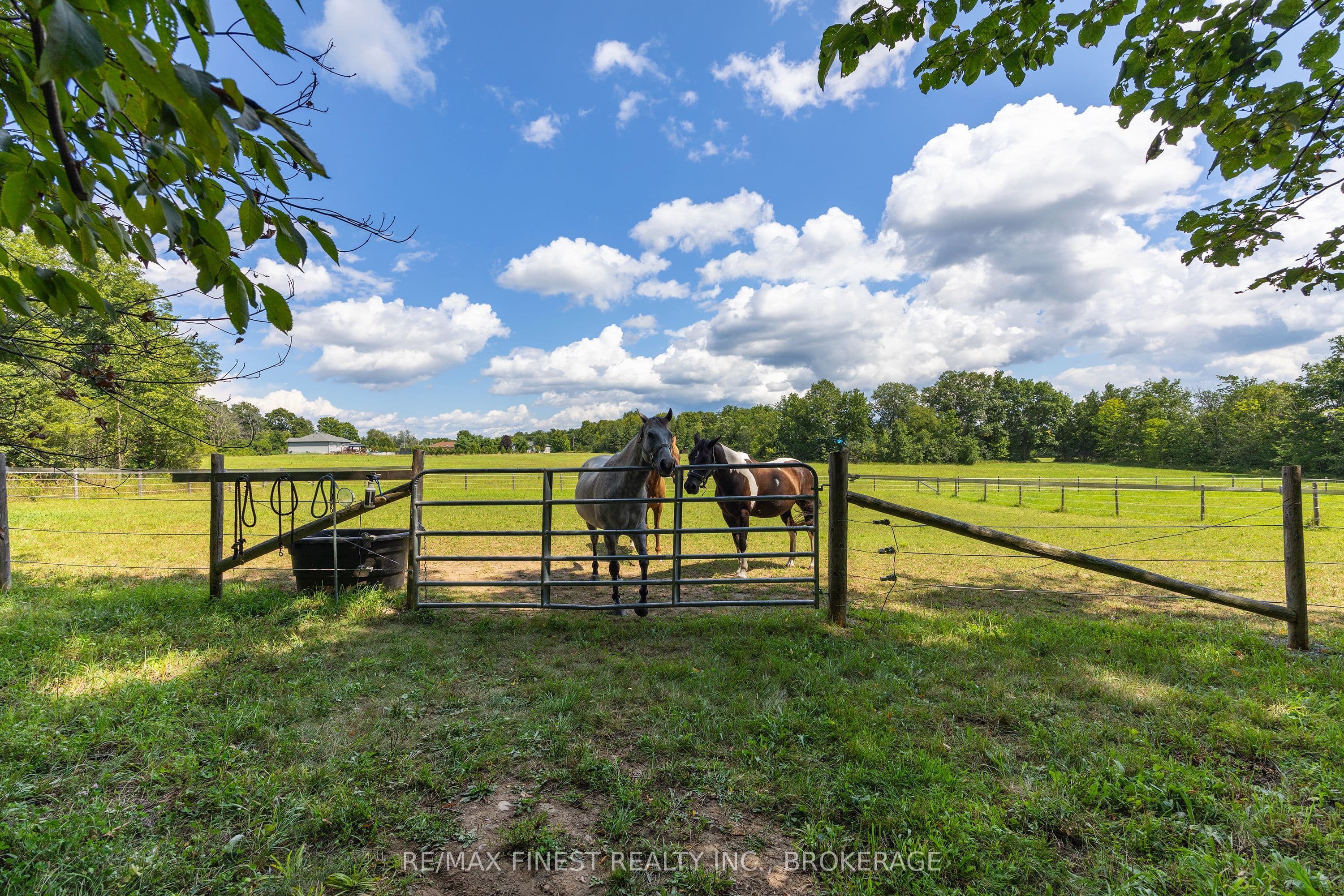 Listing 295037 Image