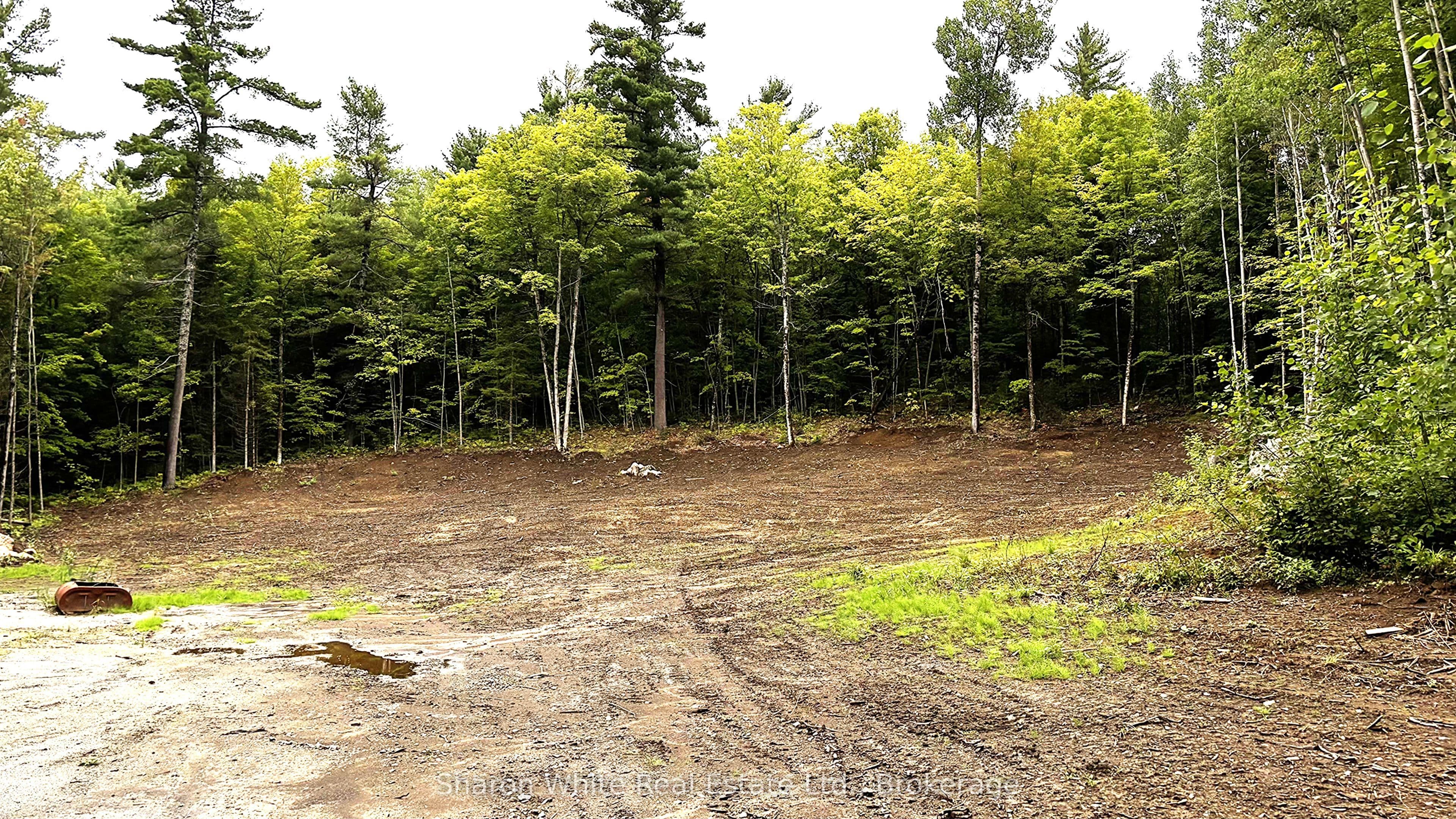 Listing 286684 Image