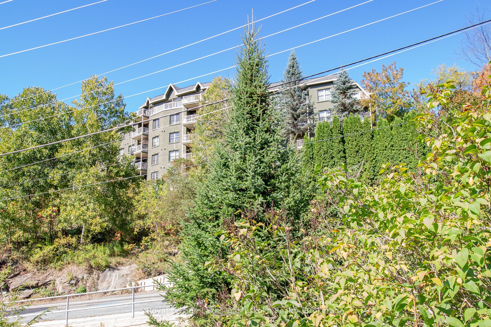 Listing 287619 Image