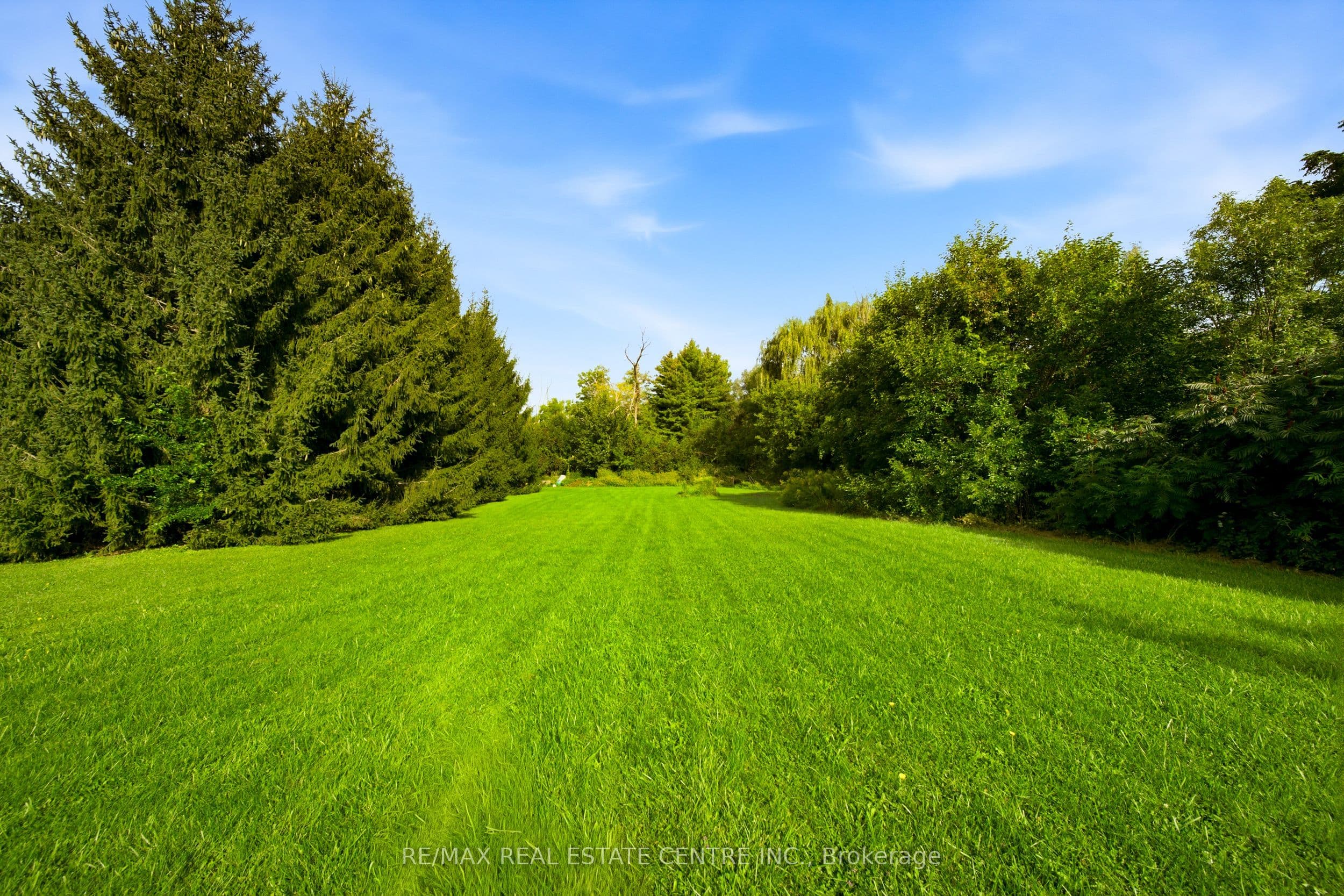 Listing 295084 Image