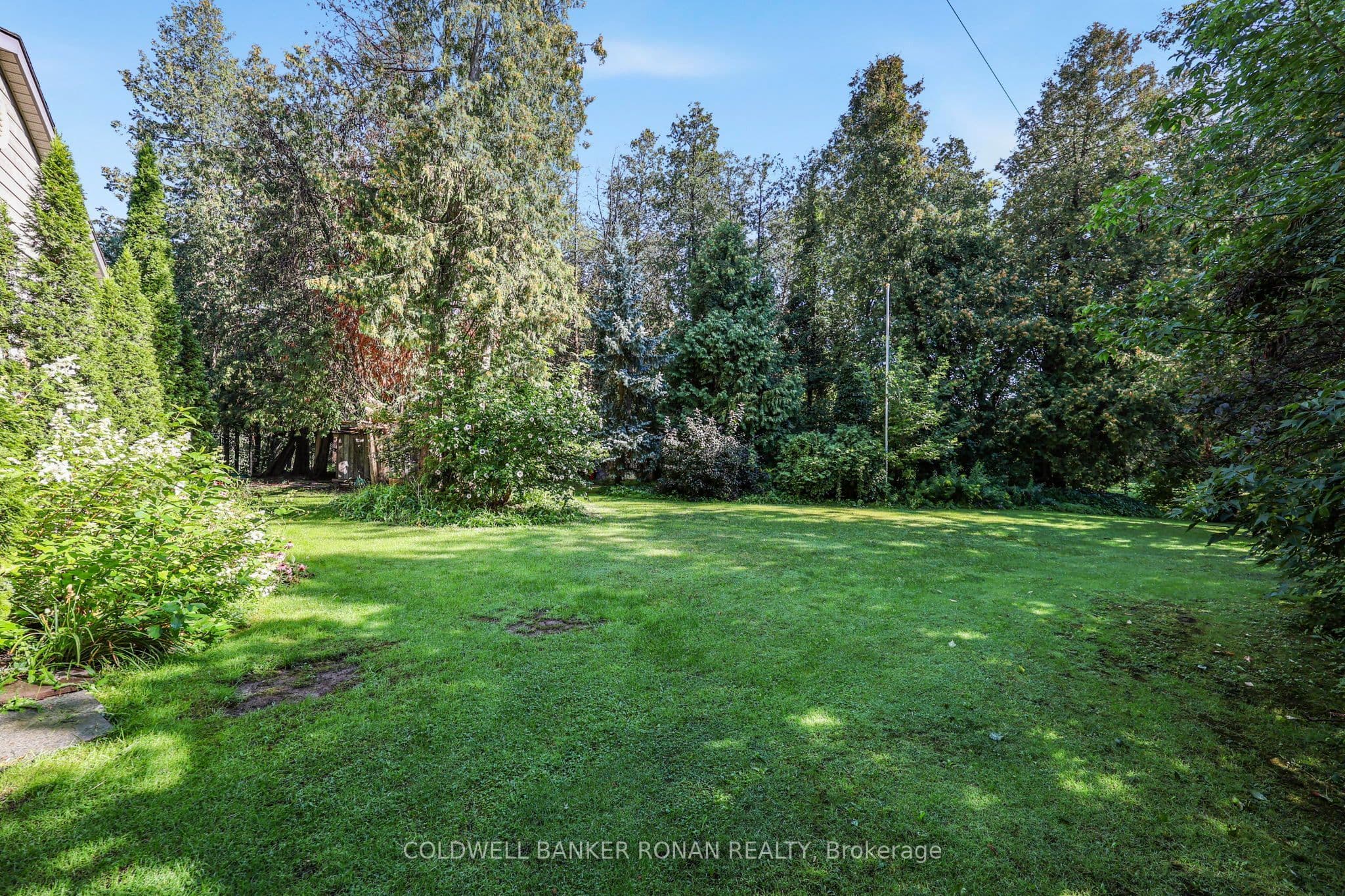 Listing 295537 Image