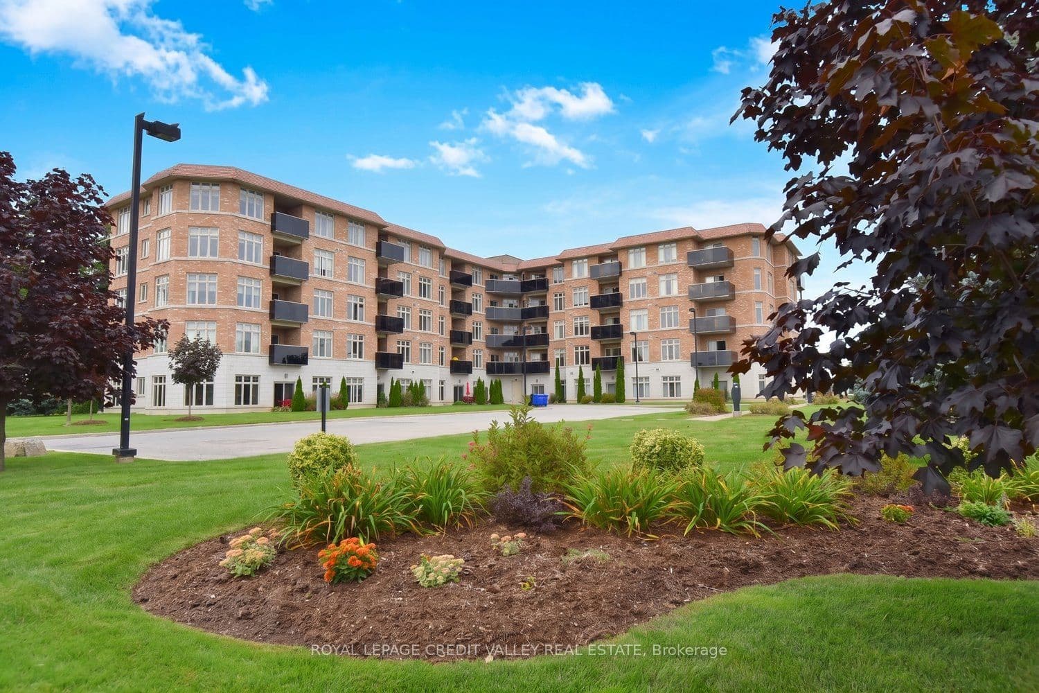 Listing 317611 Image