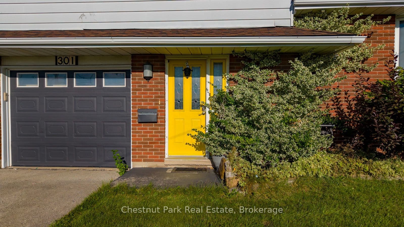 Listing 317842 Image