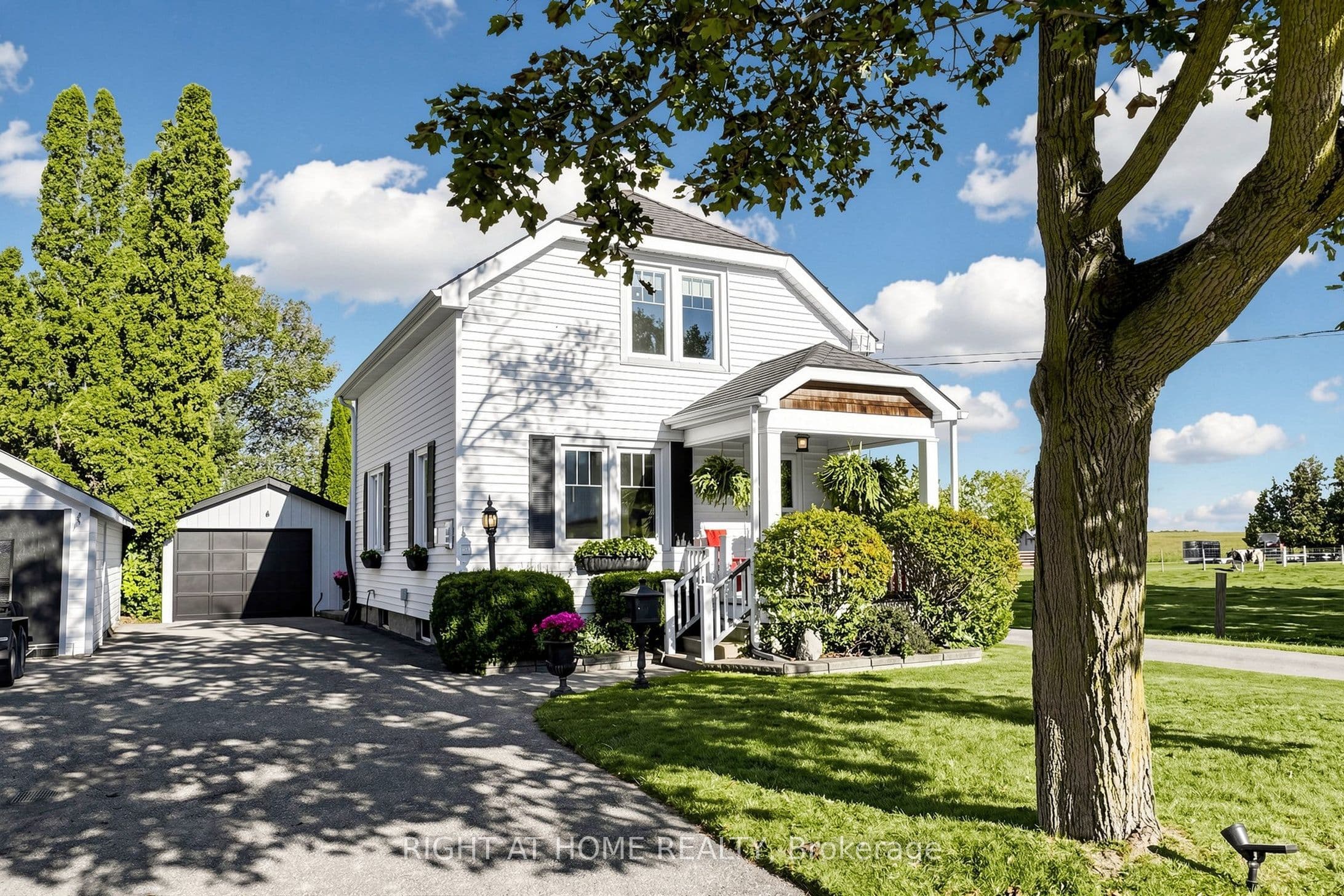 Listing 362303 Image