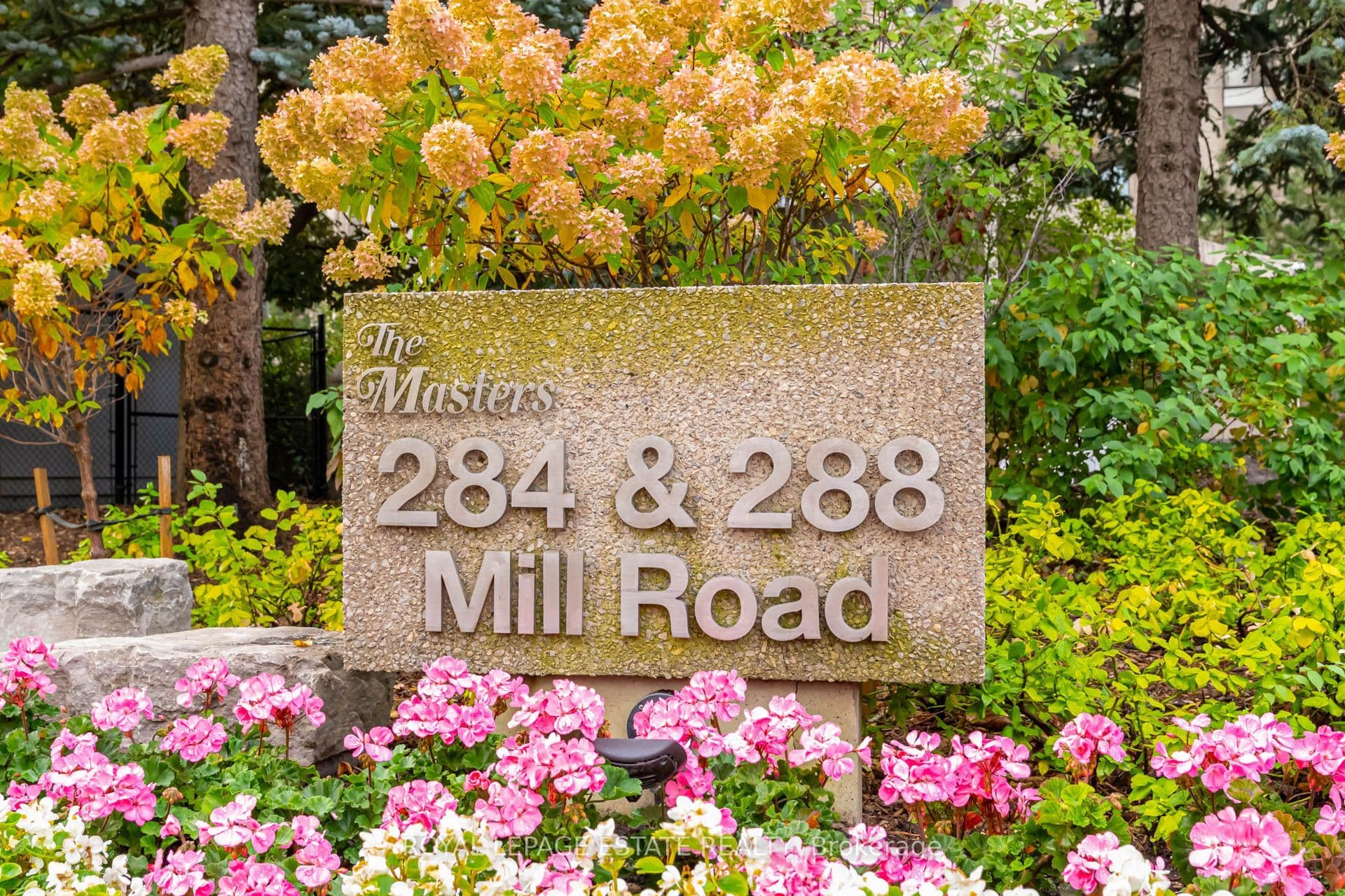 Listing 337552 Image