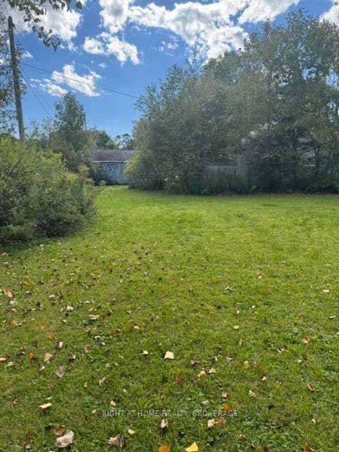 Listing 359775 Image