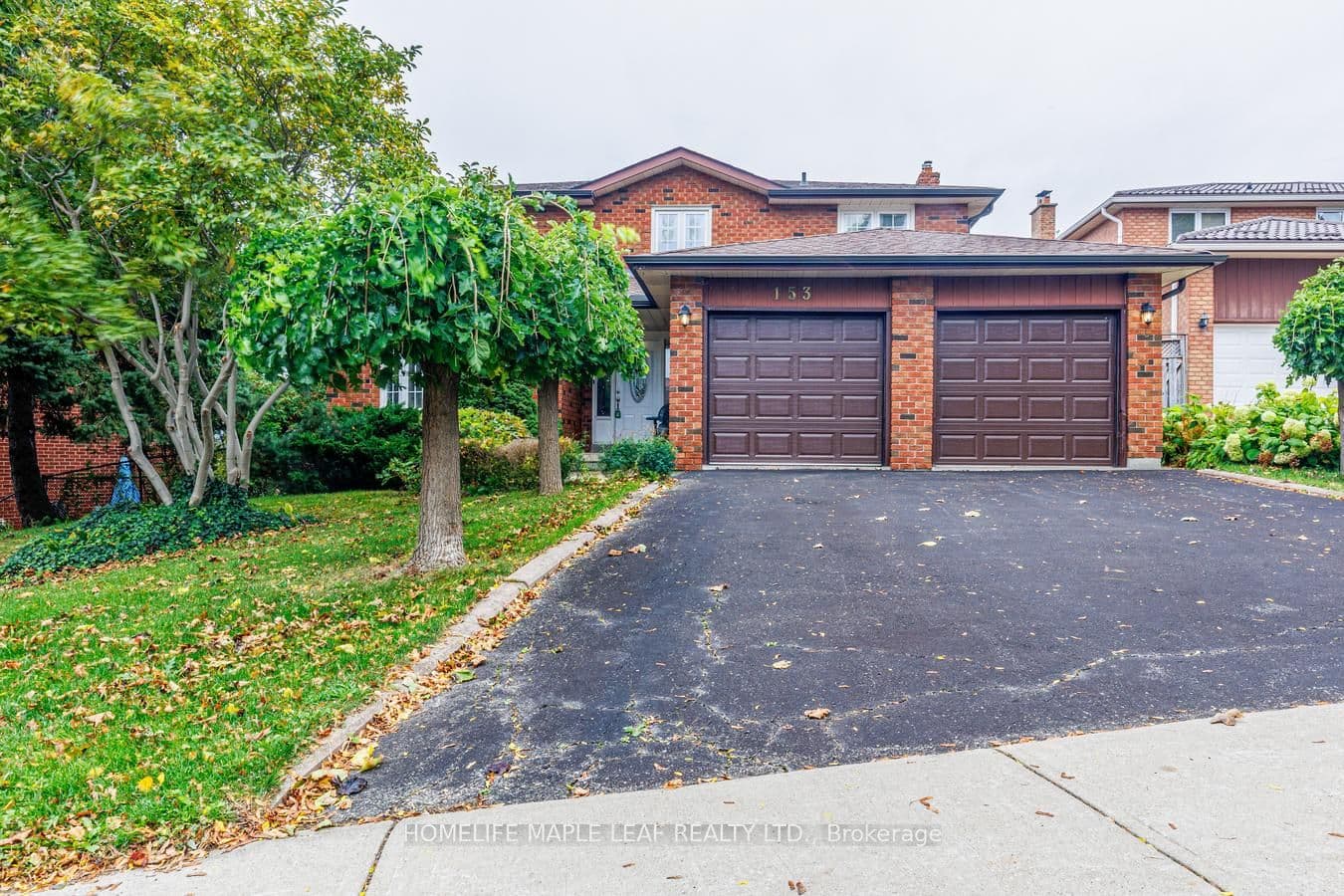 Listing 365710 Image