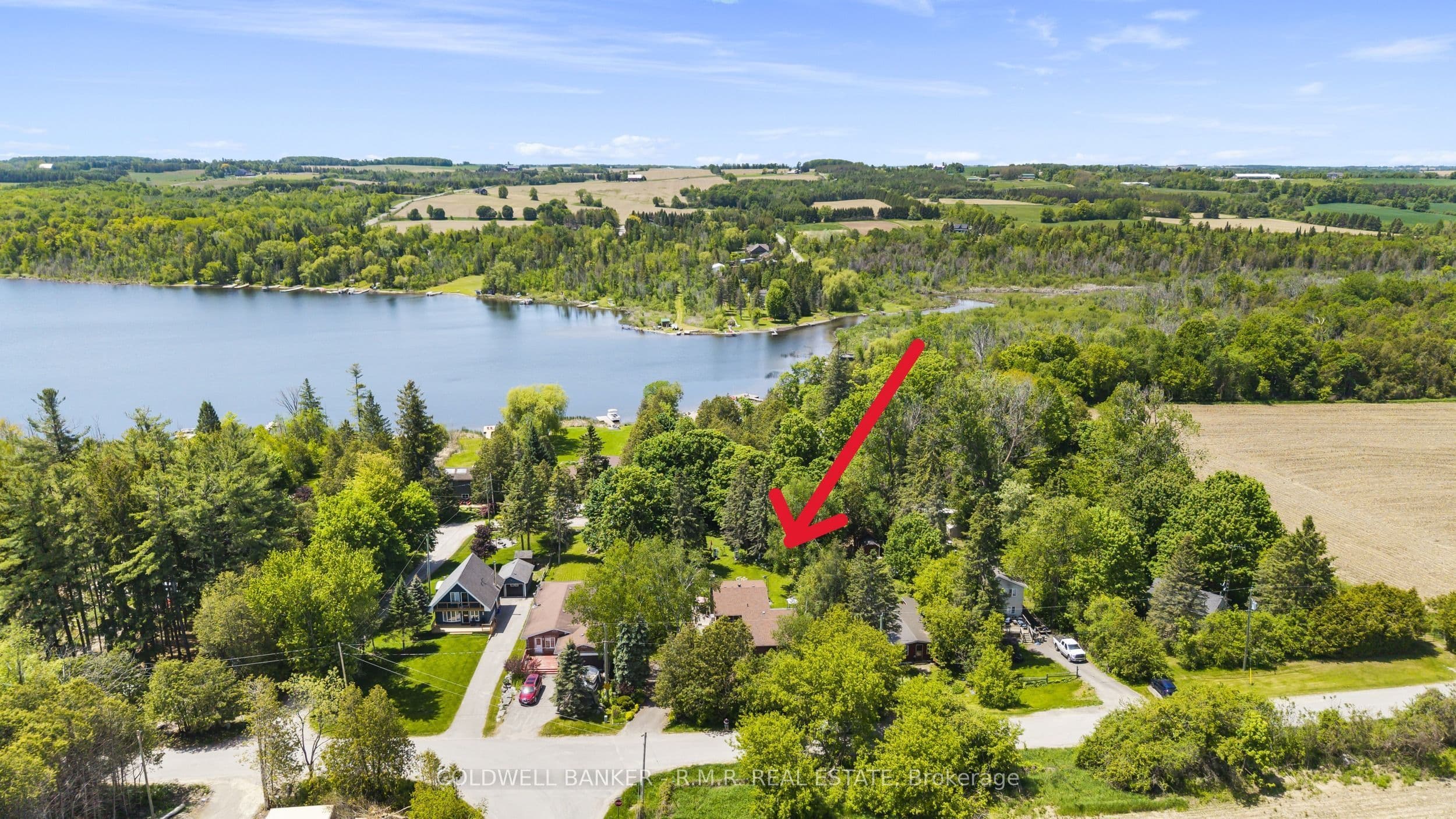 Listing 367633 Image