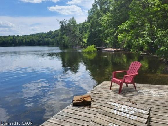 Listing 67896 Image