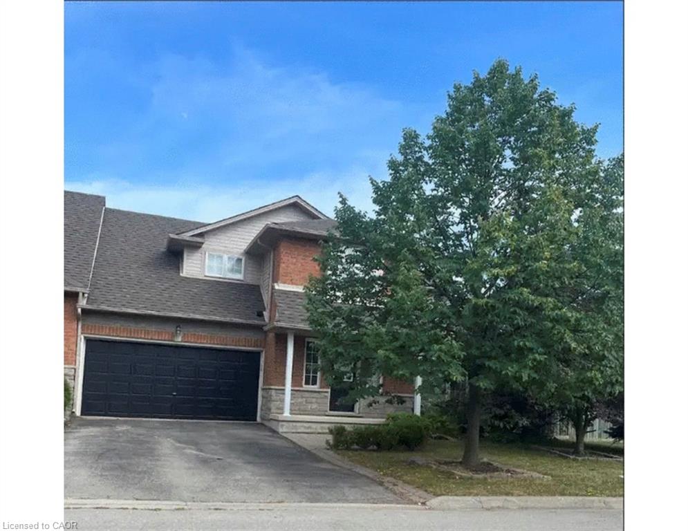 Listing 243454 Image