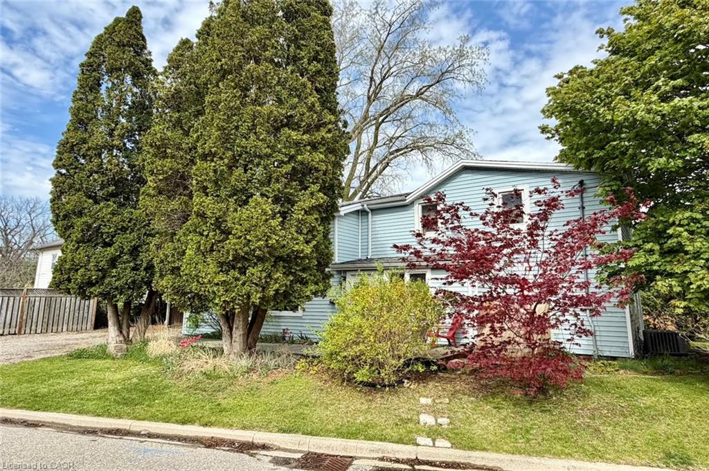Listing 245806 Image
