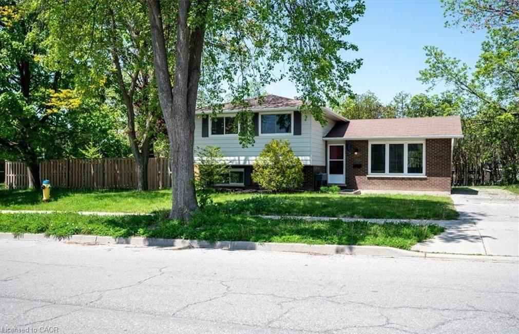 Listing 167960 Image