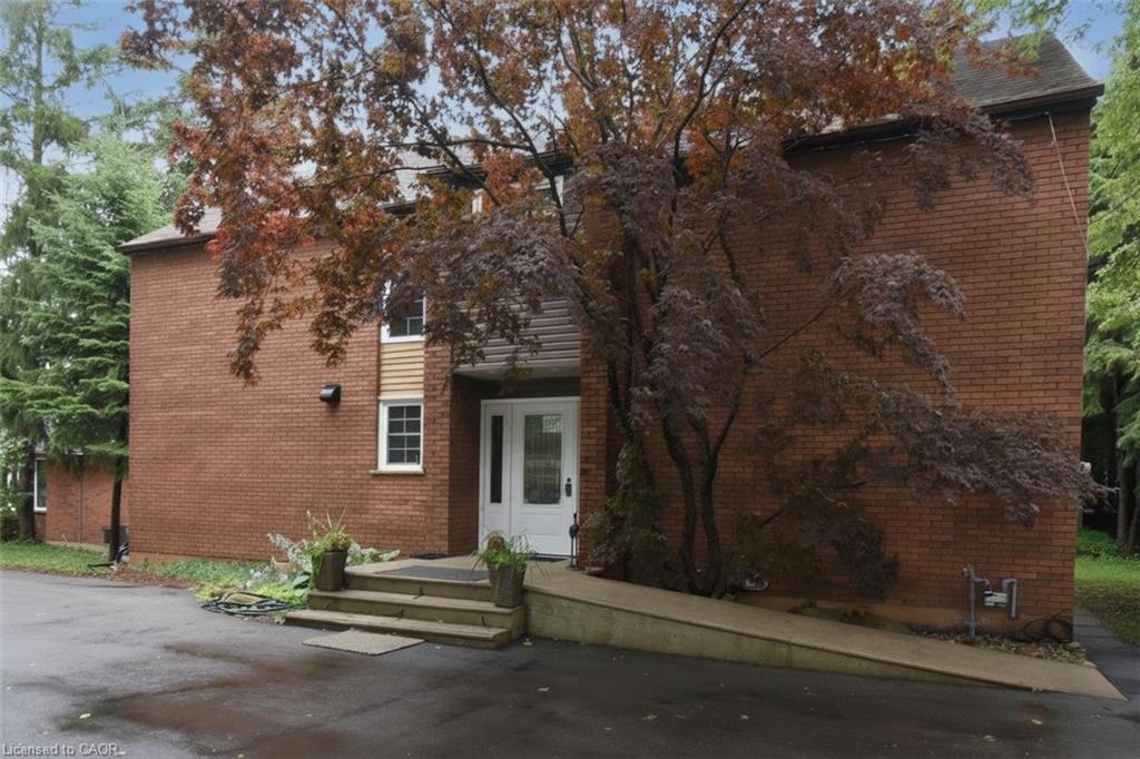 Listing 277347 Image